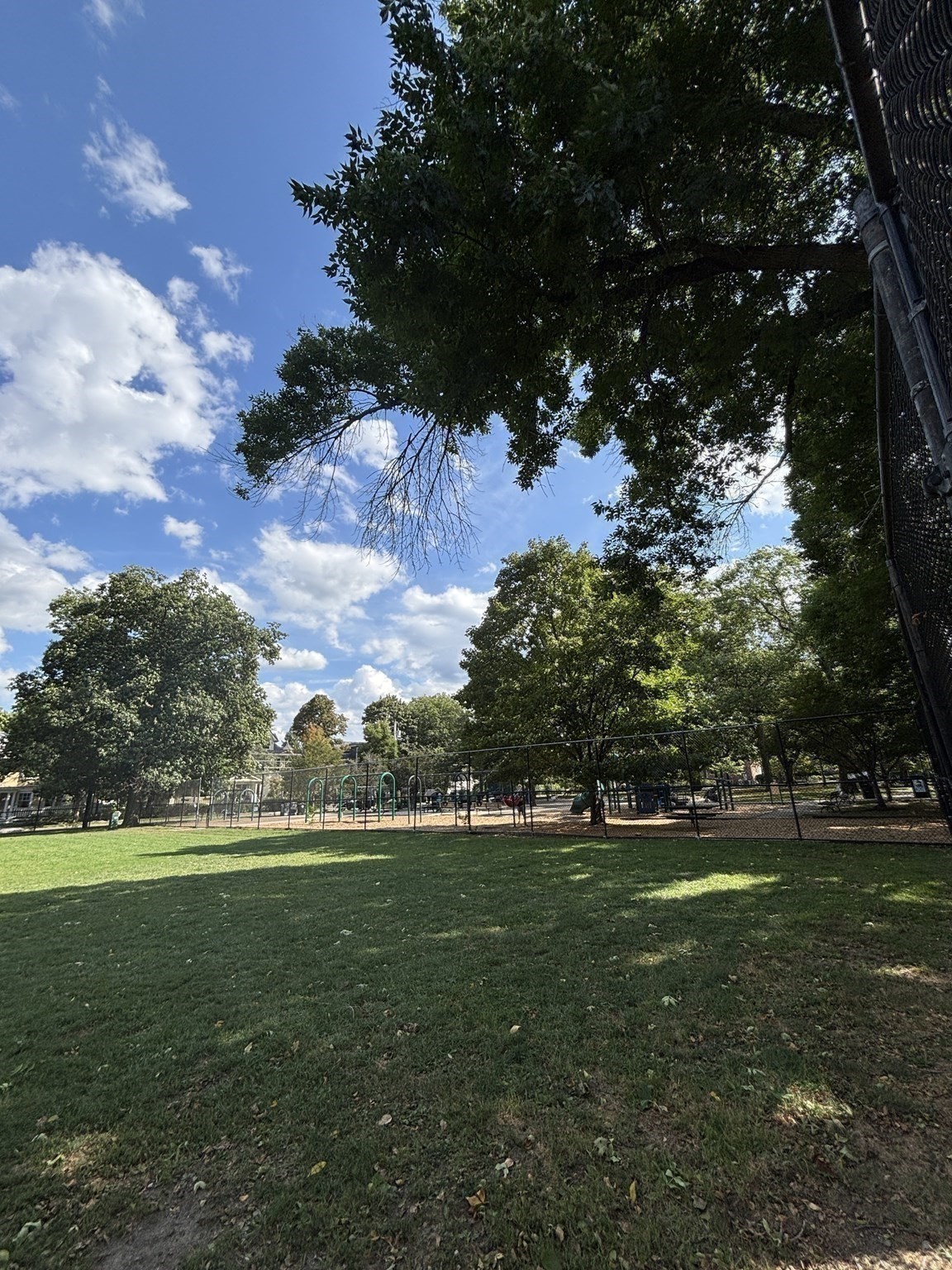 Grassy park and fenced playground beneath mature shade trees.