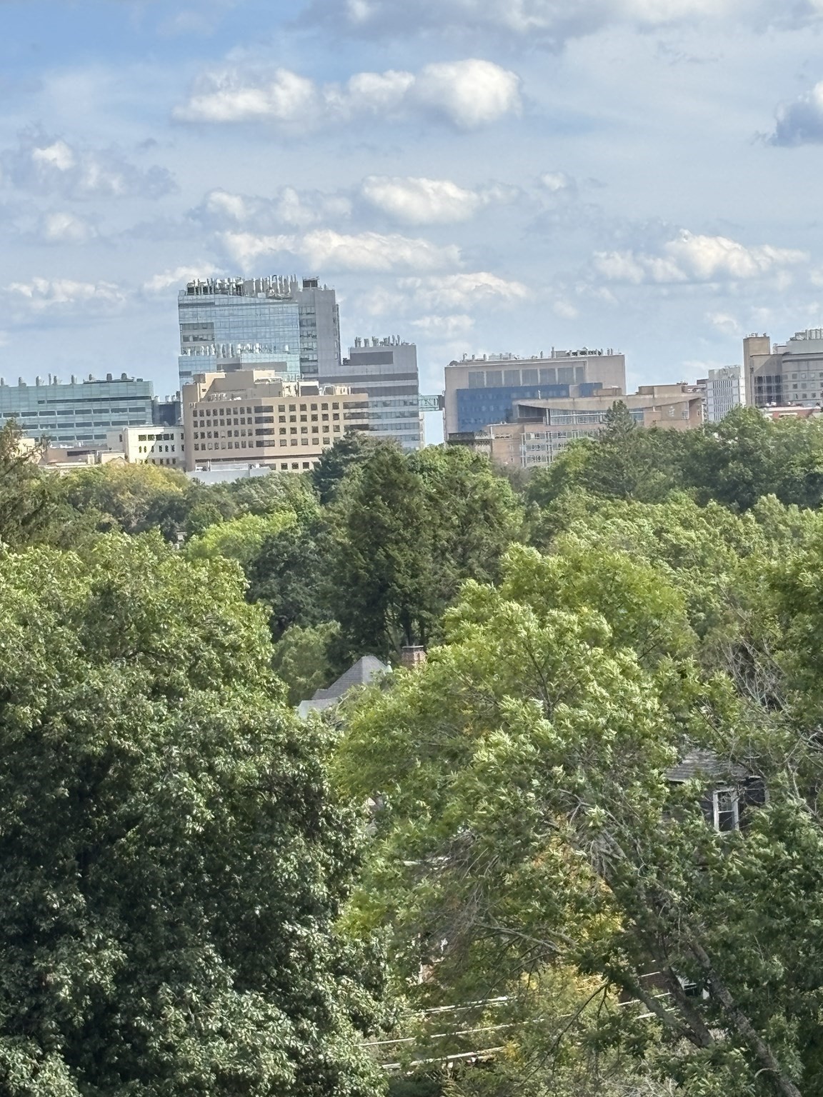 Green treetops stretch toward modern city buildings beneath a partly cloudy sky.