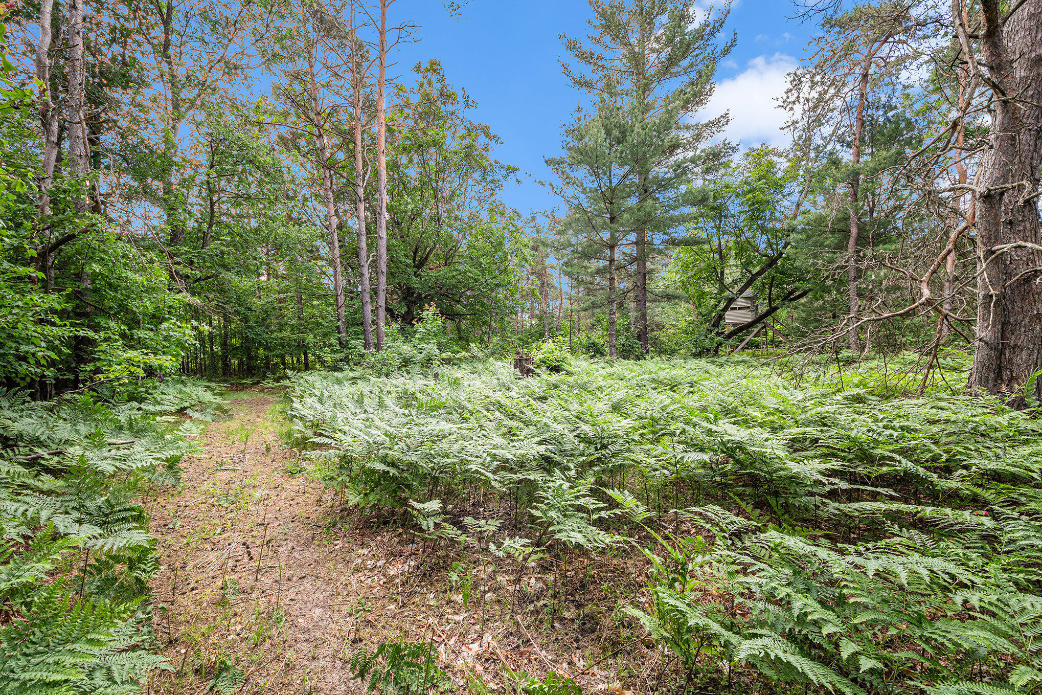 8930 W 14 Mile Road