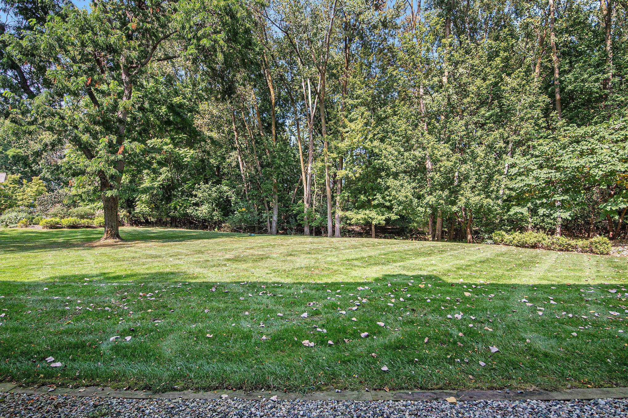 537 Greenwood Avenue SE C