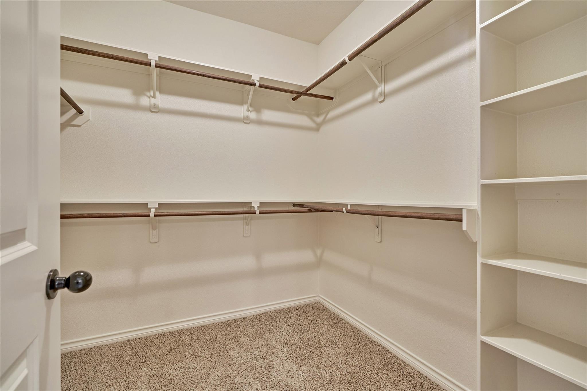 Walk-in closet with wooden hanging rods, built-in shelving, and carpeted floor.