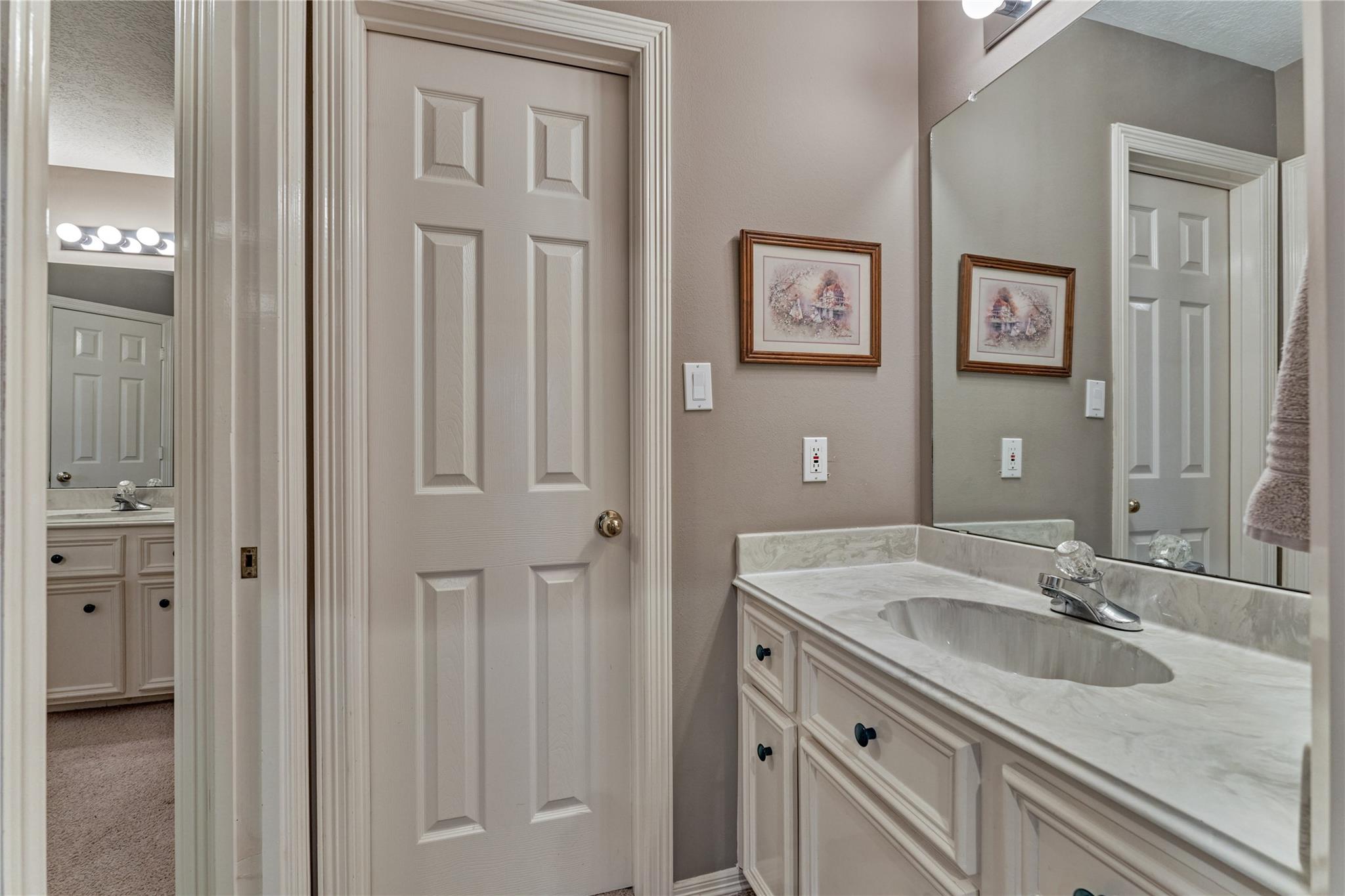 Bathroom vanity with a marble-look counter and large mirror beside a white paneled door.