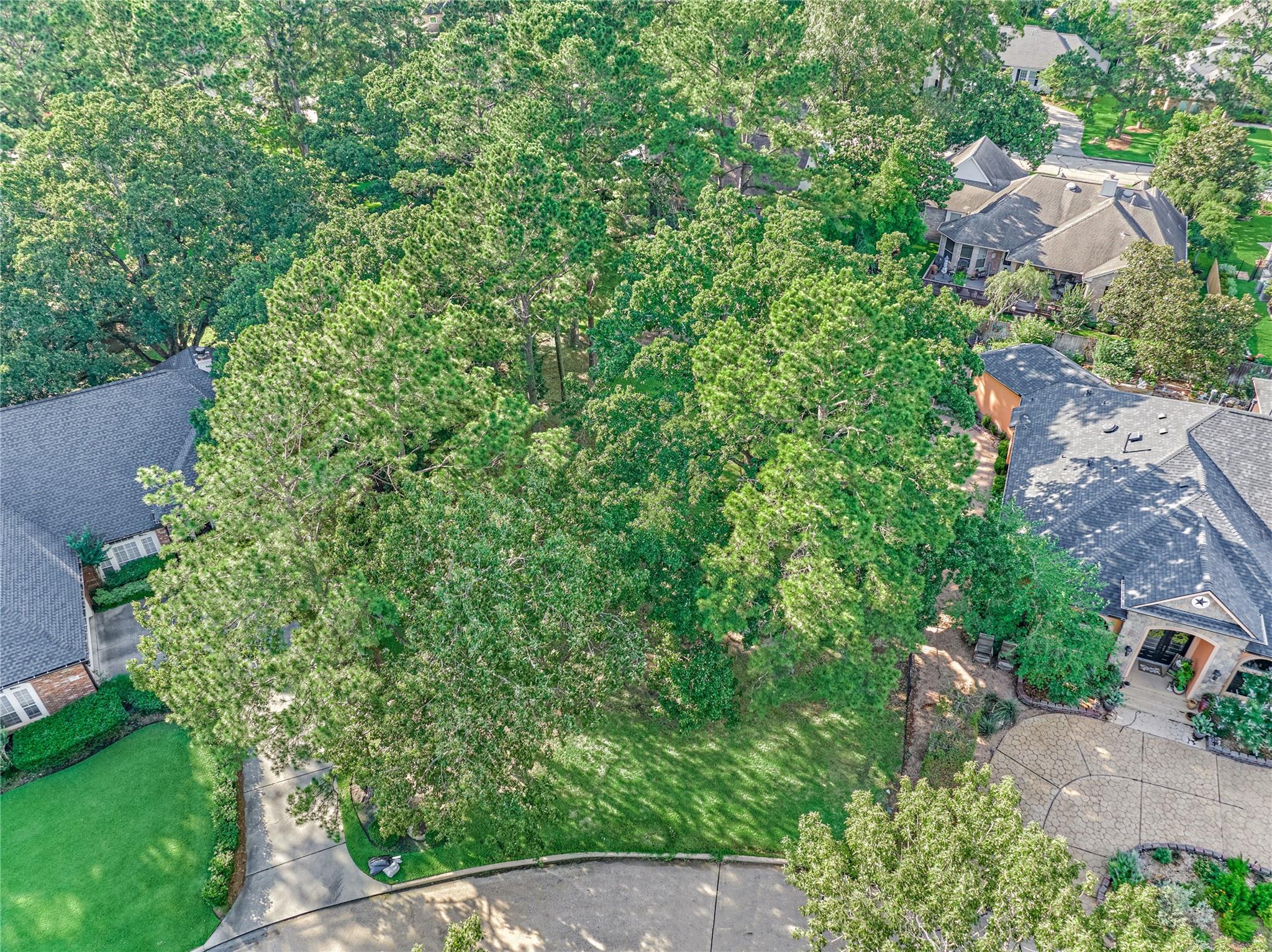 161 Bent Tree Lane