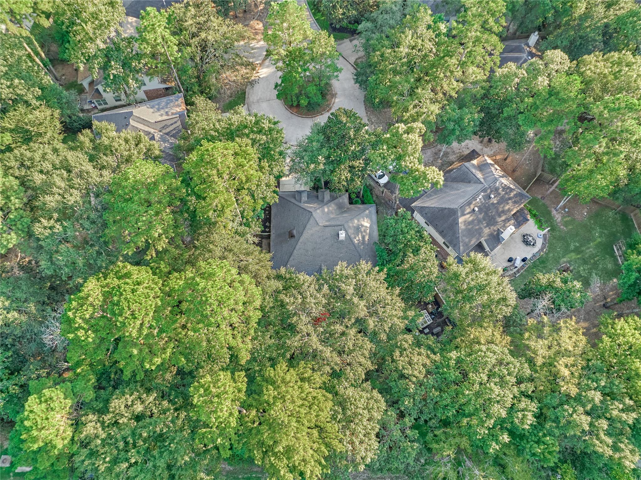 Aerial view of homes among dense trees, with a curved driveway and a small lawn.