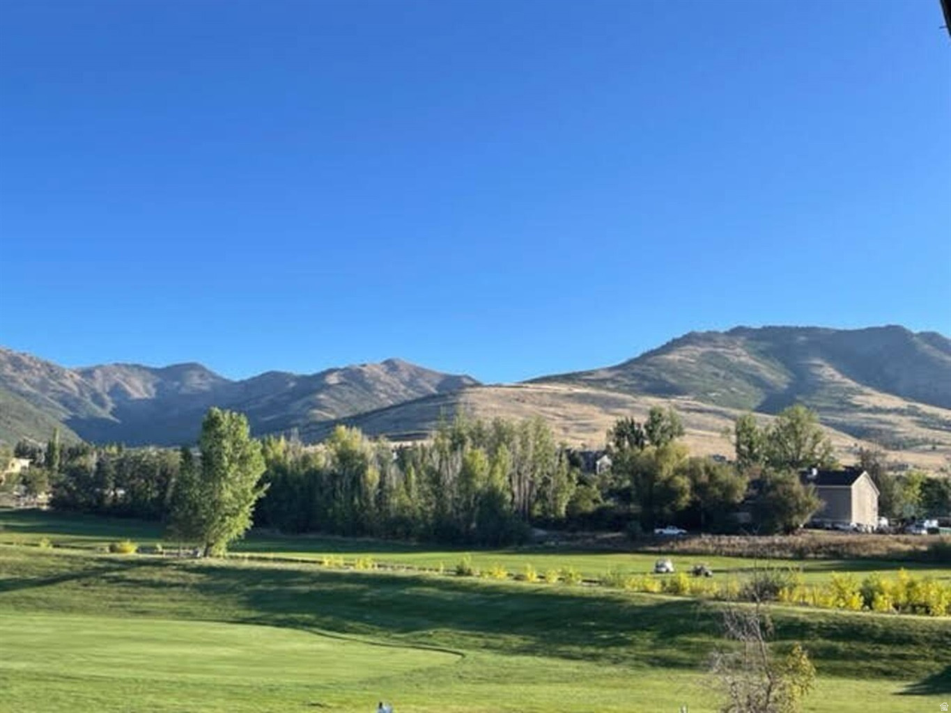 3615 N WOLF LODGE DR #402