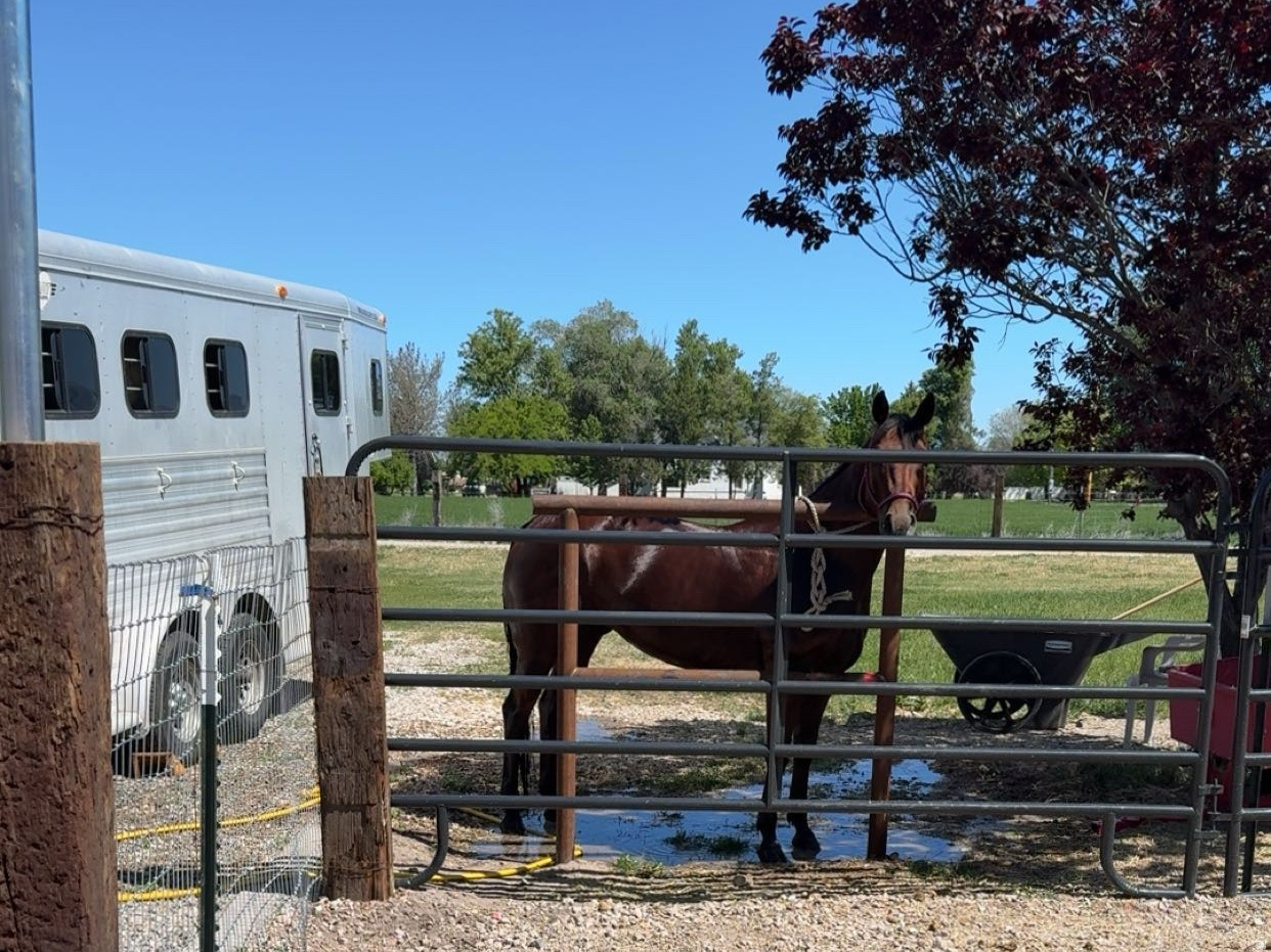5015 S 6700 W