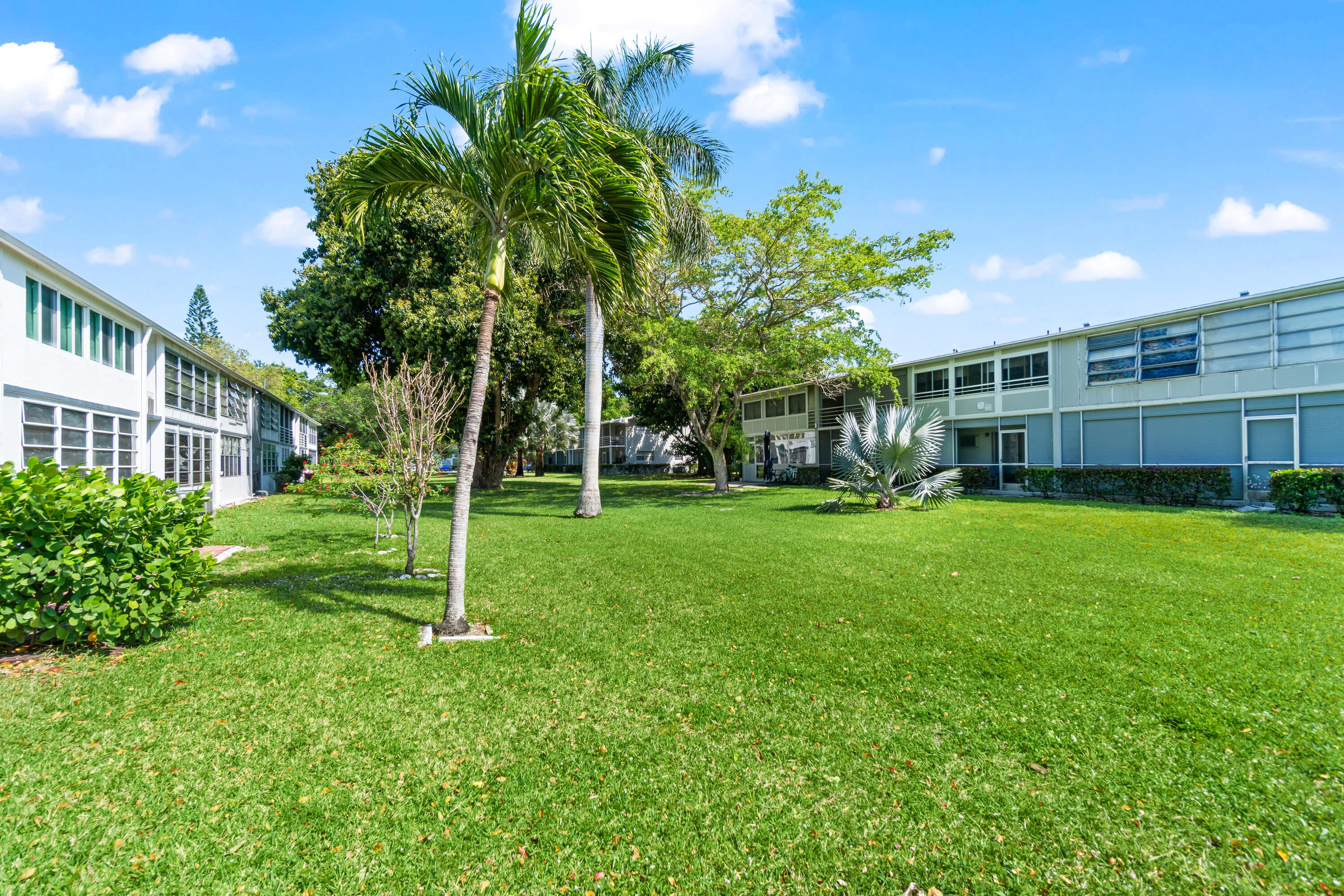 237 Ventnor Q