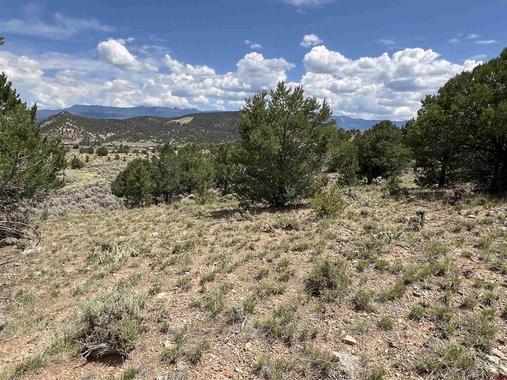 340 Quarterhorse Lane