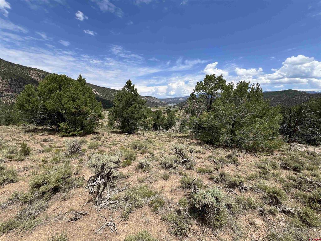 340 Quarterhorse Lane