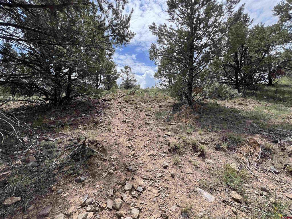 340 Quarterhorse Lane