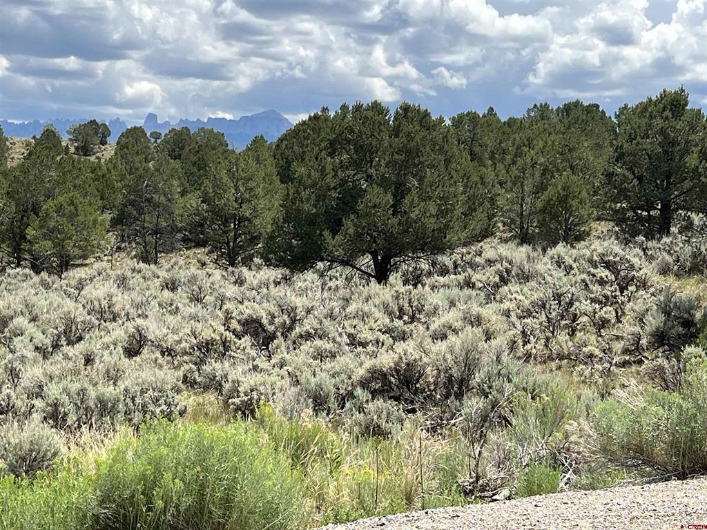 340 Quarterhorse Lane