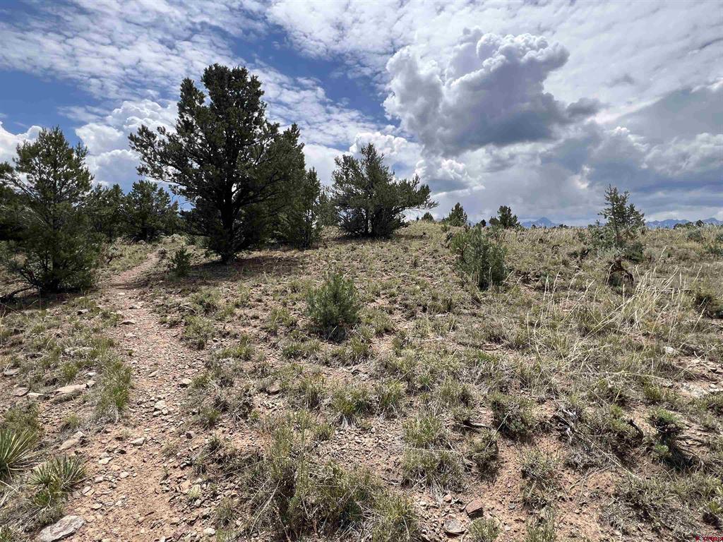 340 Quarterhorse Lane