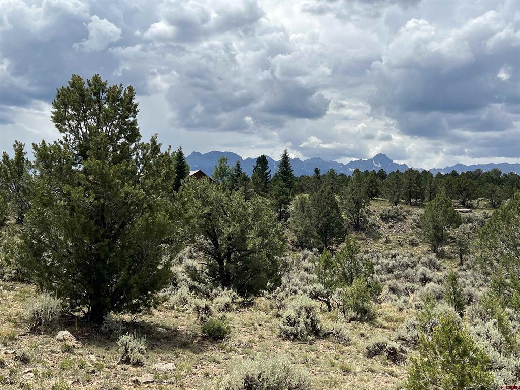 340 Quarterhorse Lane