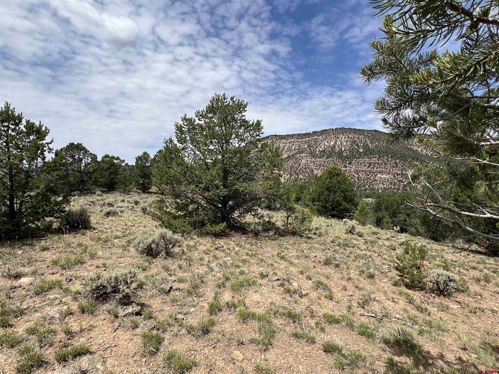 340 Quarterhorse Lane