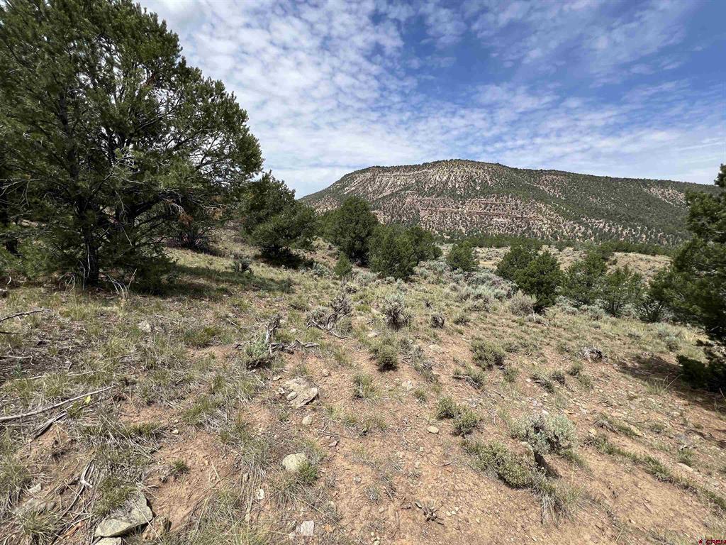 340 Quarterhorse Lane