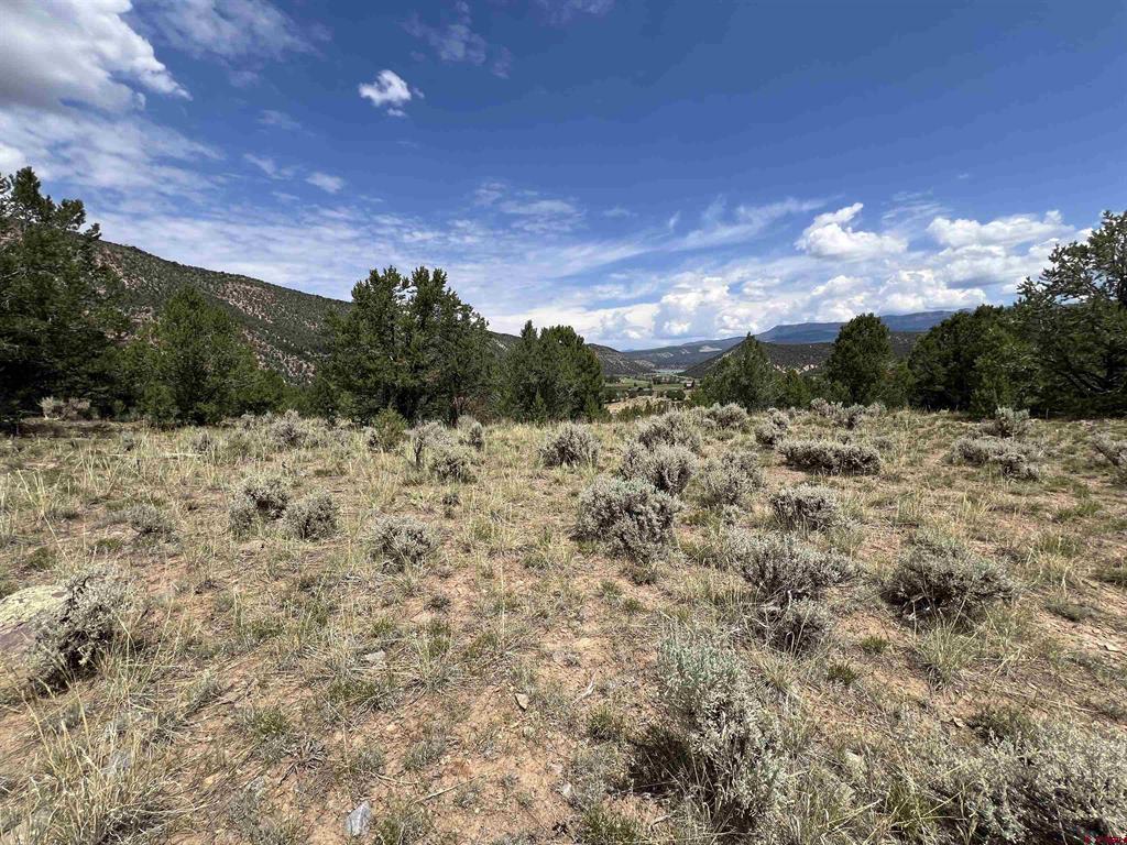 340 Quarterhorse Lane