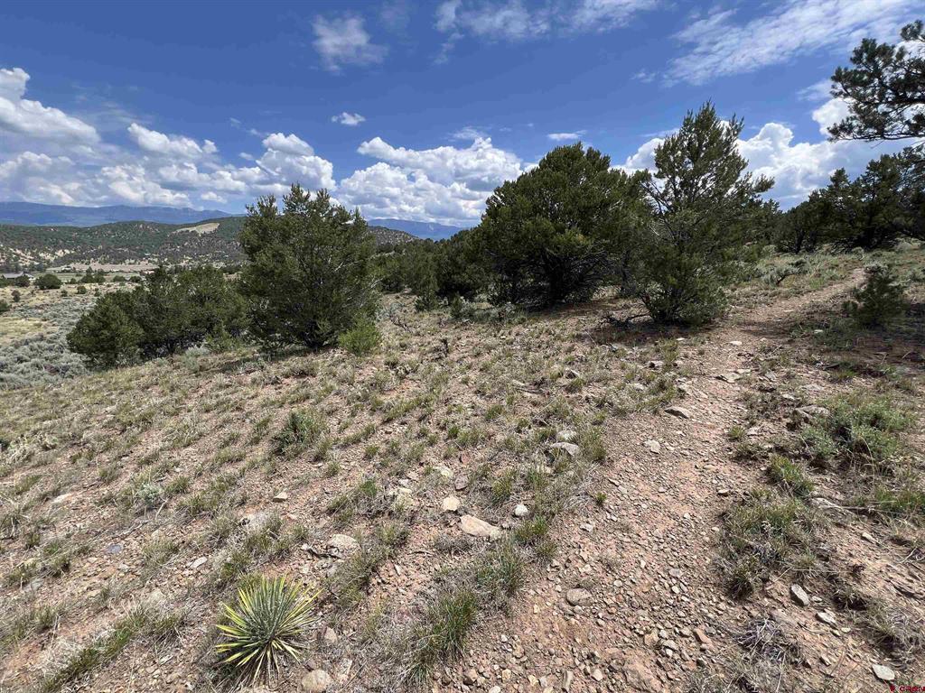 340 Quarterhorse Lane