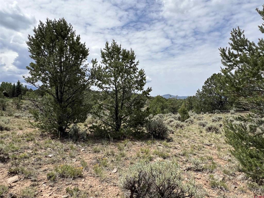 340 Quarterhorse Lane