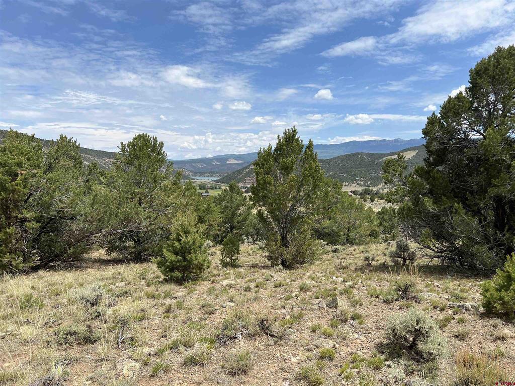 340 Quarterhorse Lane