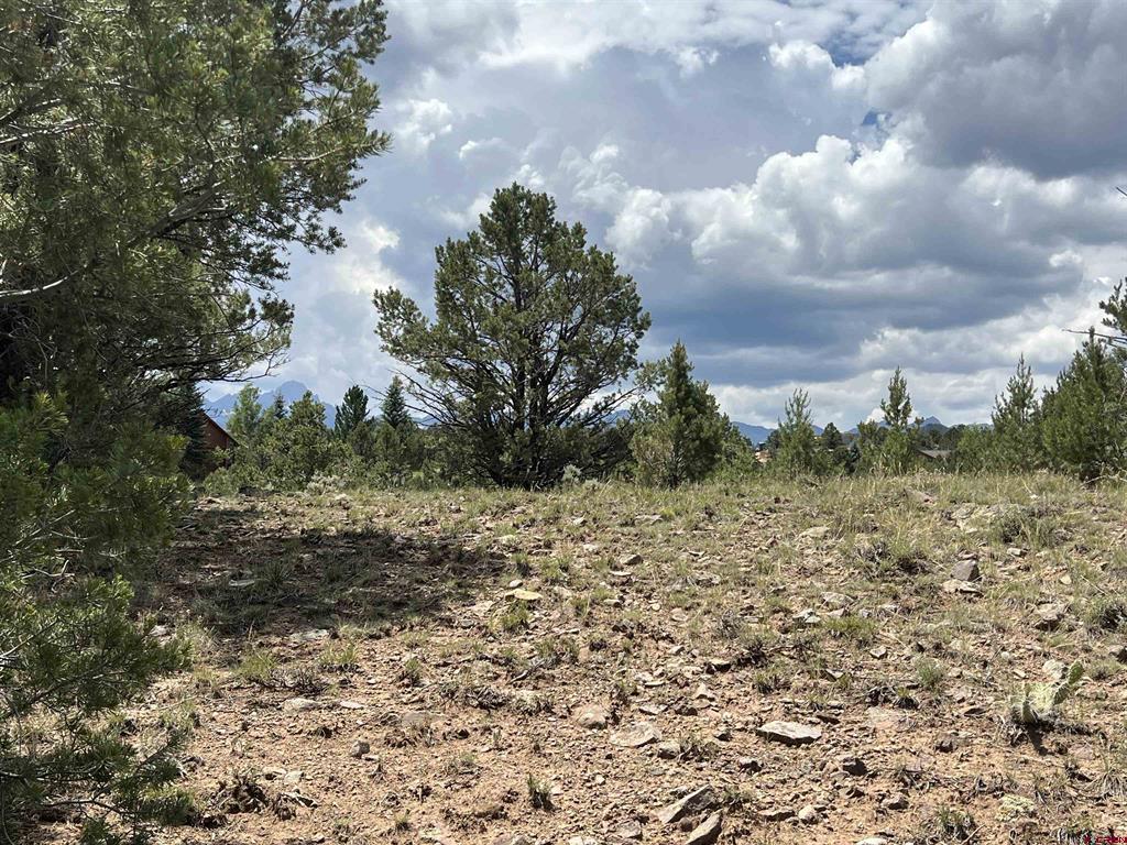 340 Quarterhorse Lane