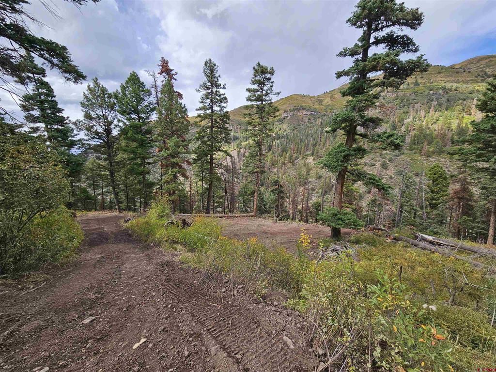 3000 County Road 14