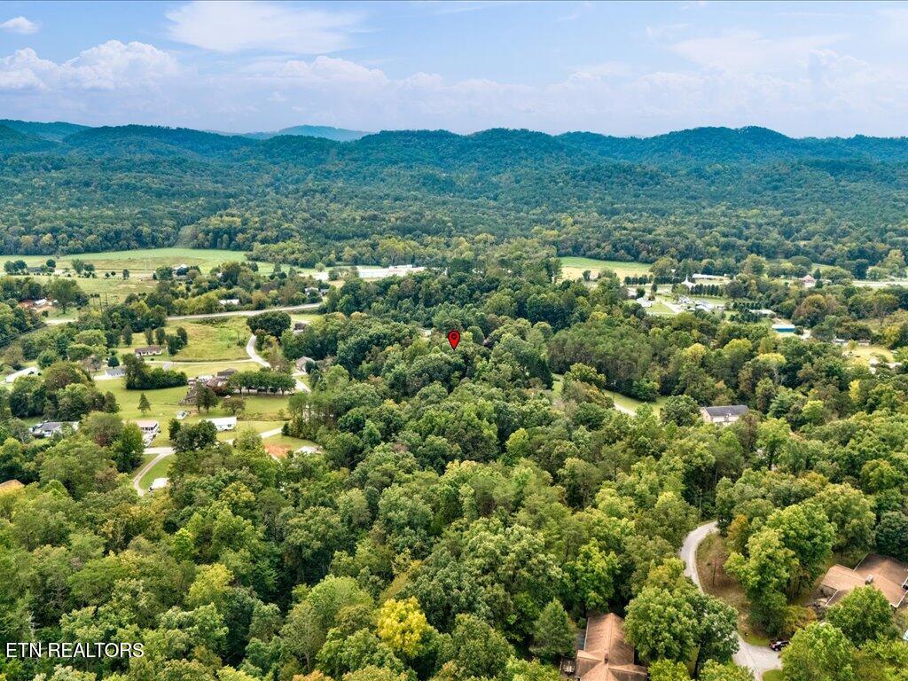 262 Mountain View Drive