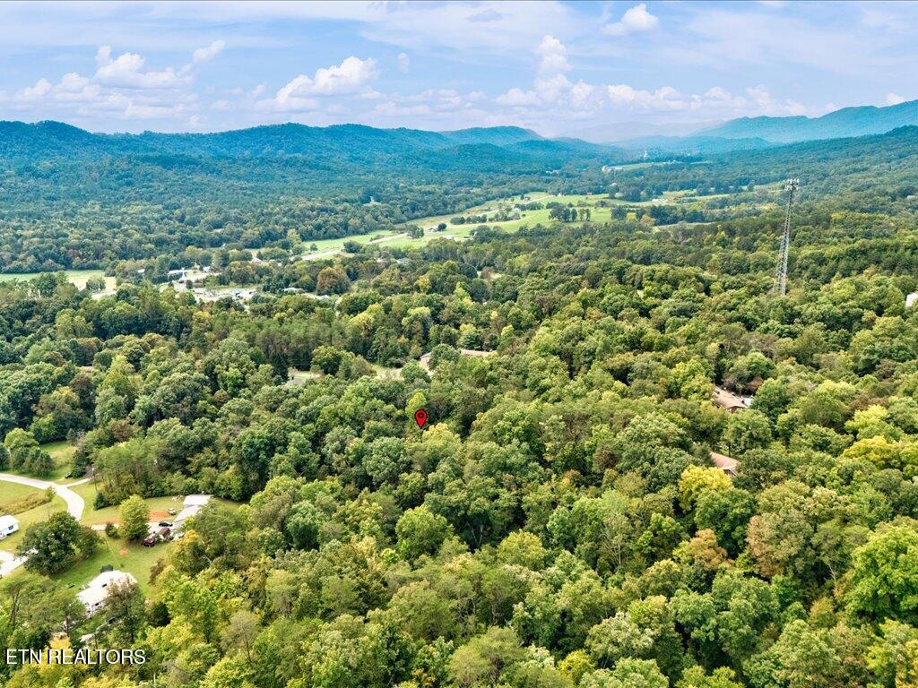 262 Mountain View Drive