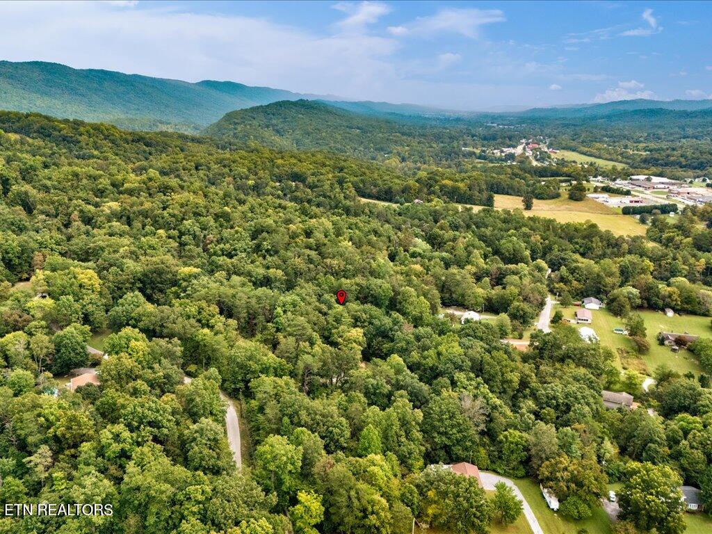 262 Mountain View Drive