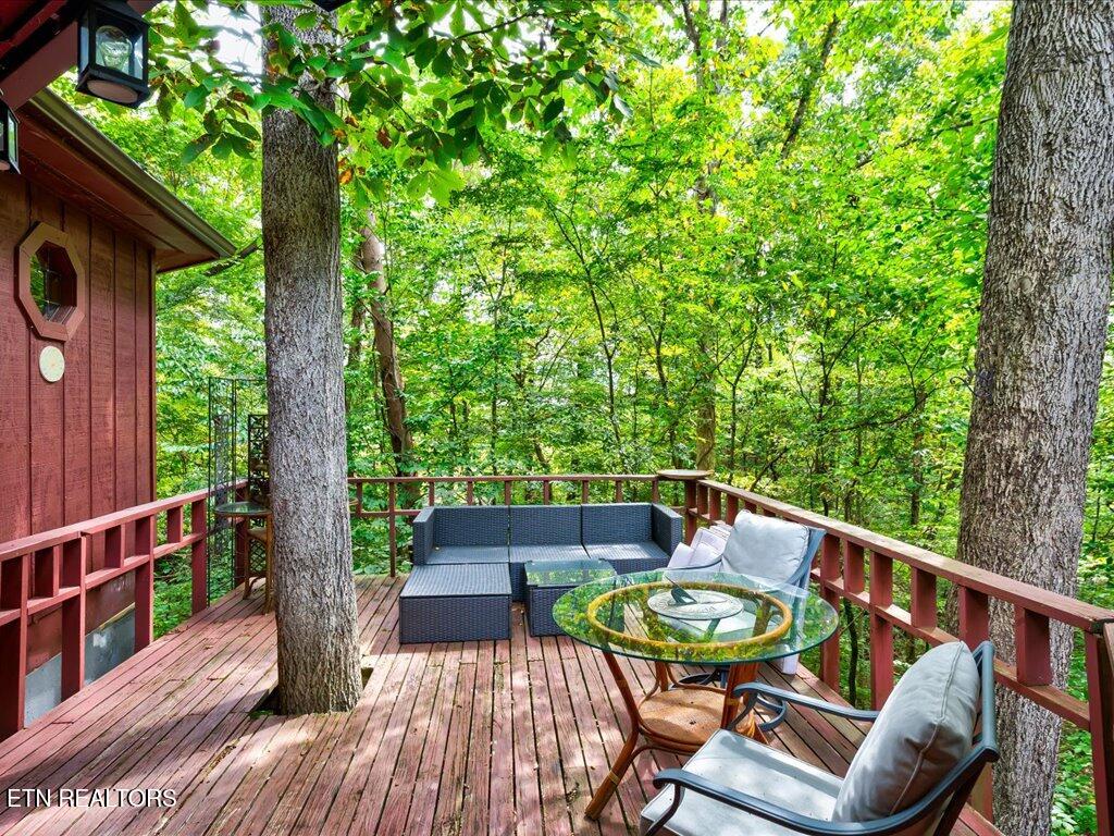 262 Mountain View Drive