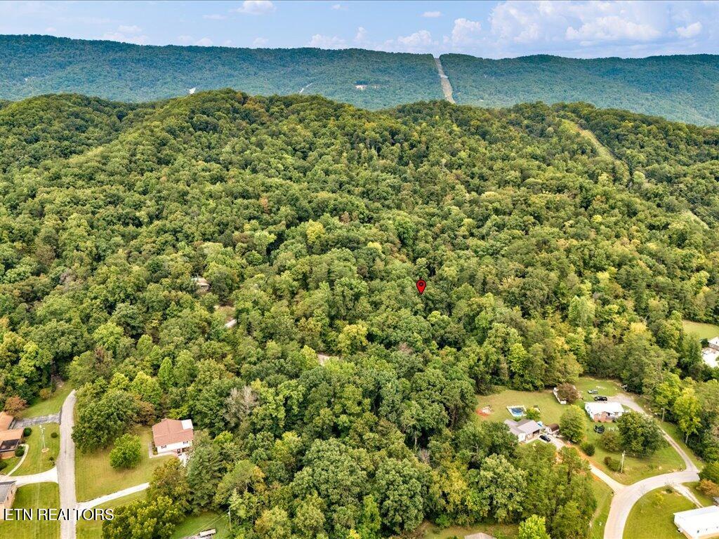 262 Mountain View Drive