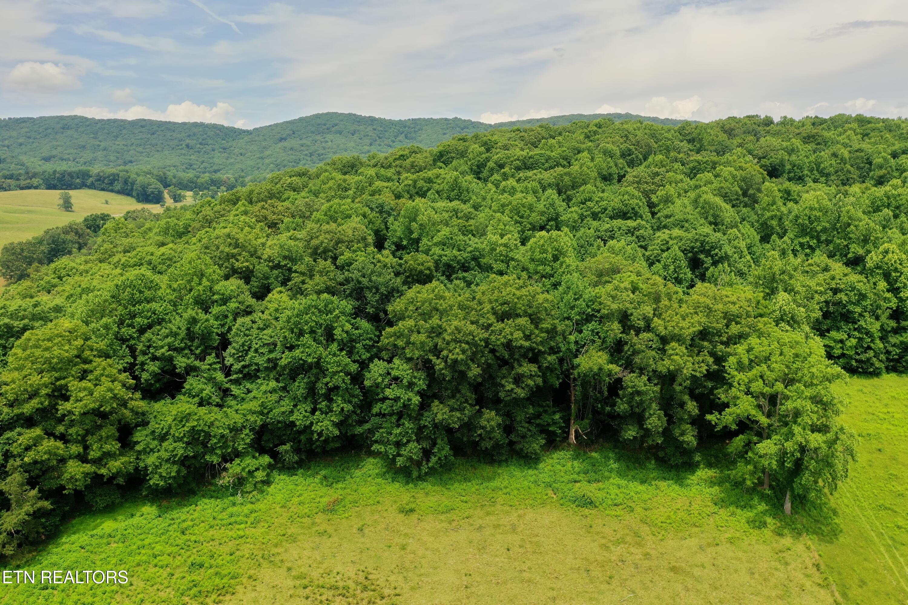 3956 Mulberry Gap Rd