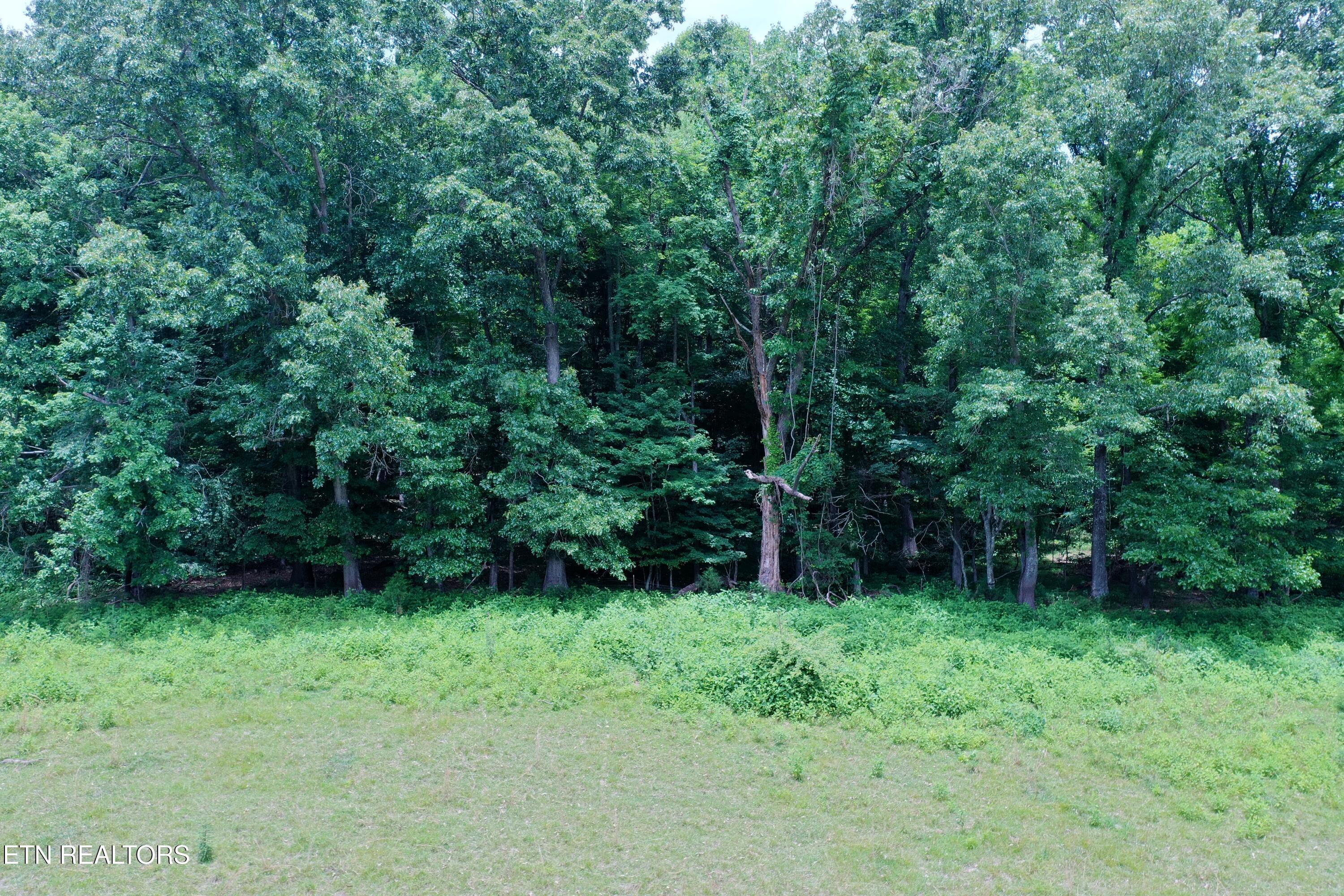 3956 Mulberry Gap Rd
