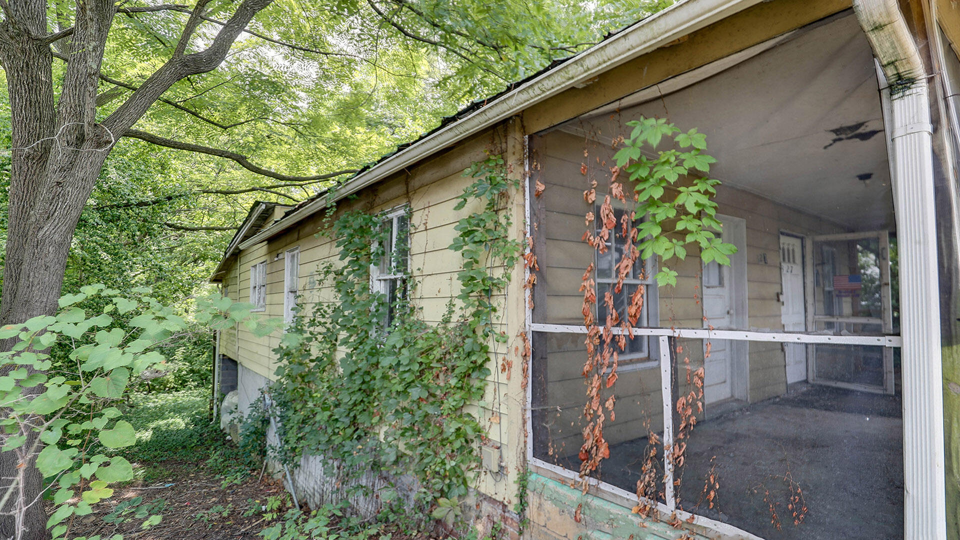 327 Floral Street