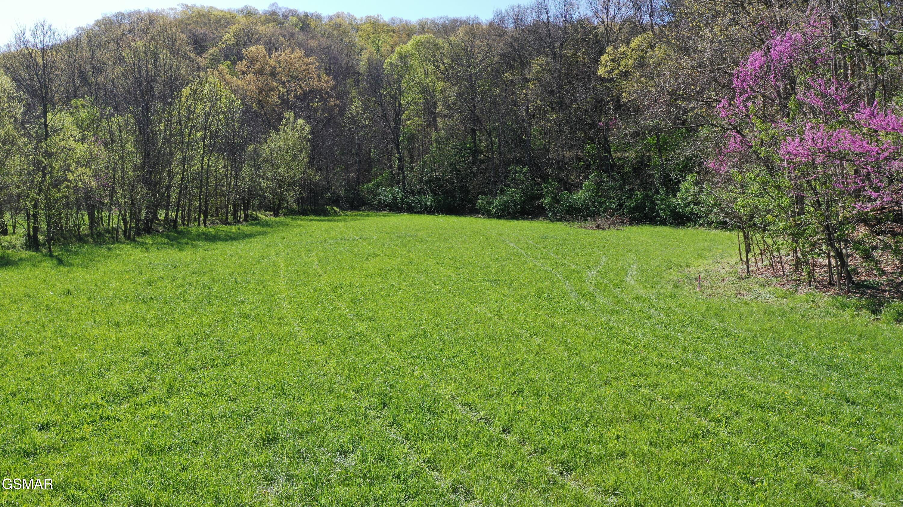 0 N VFW Road
