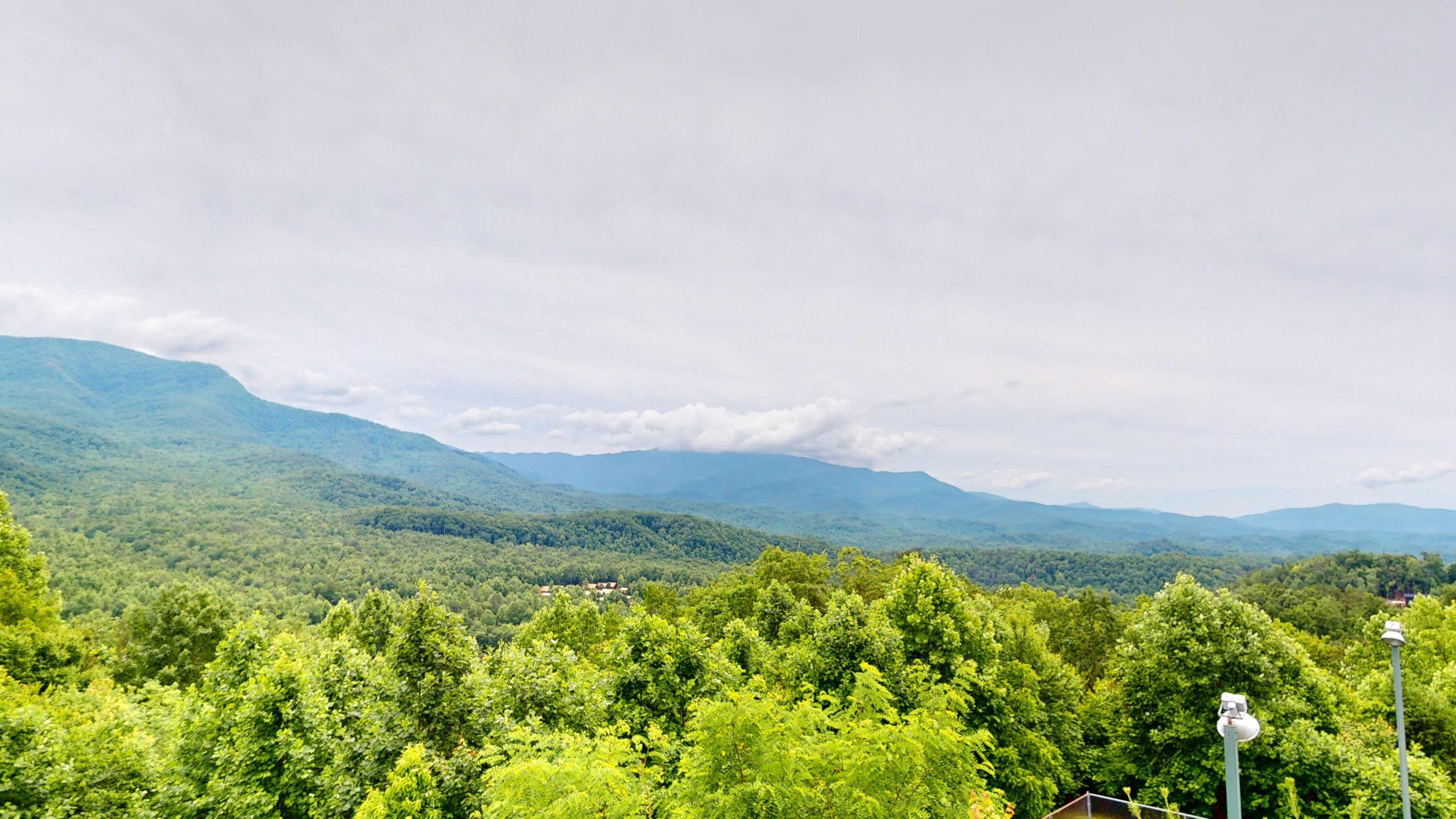 3710 Weber Road Unit: 102-A
