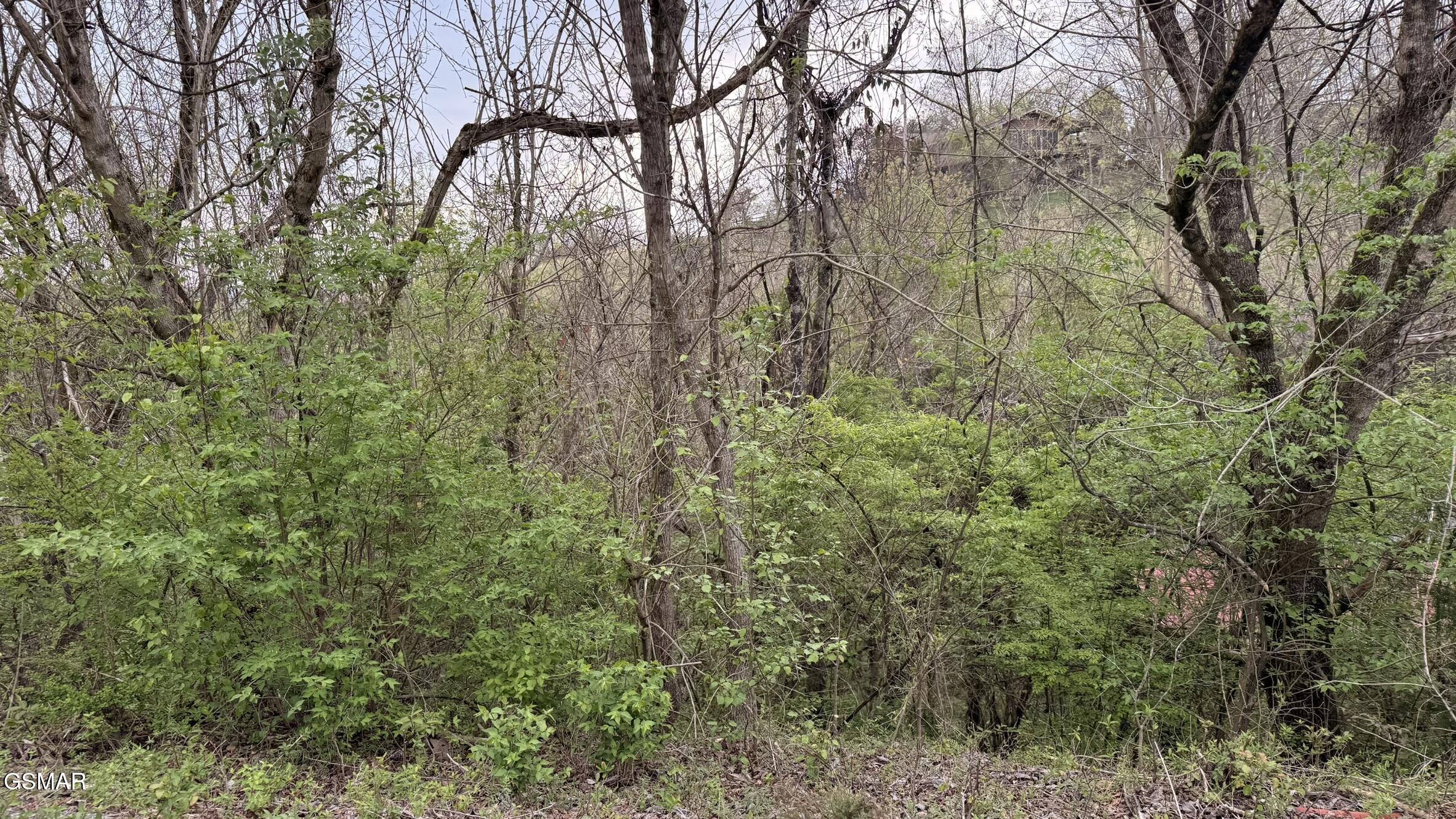 Lot 4 Hideaway Ridge Circle