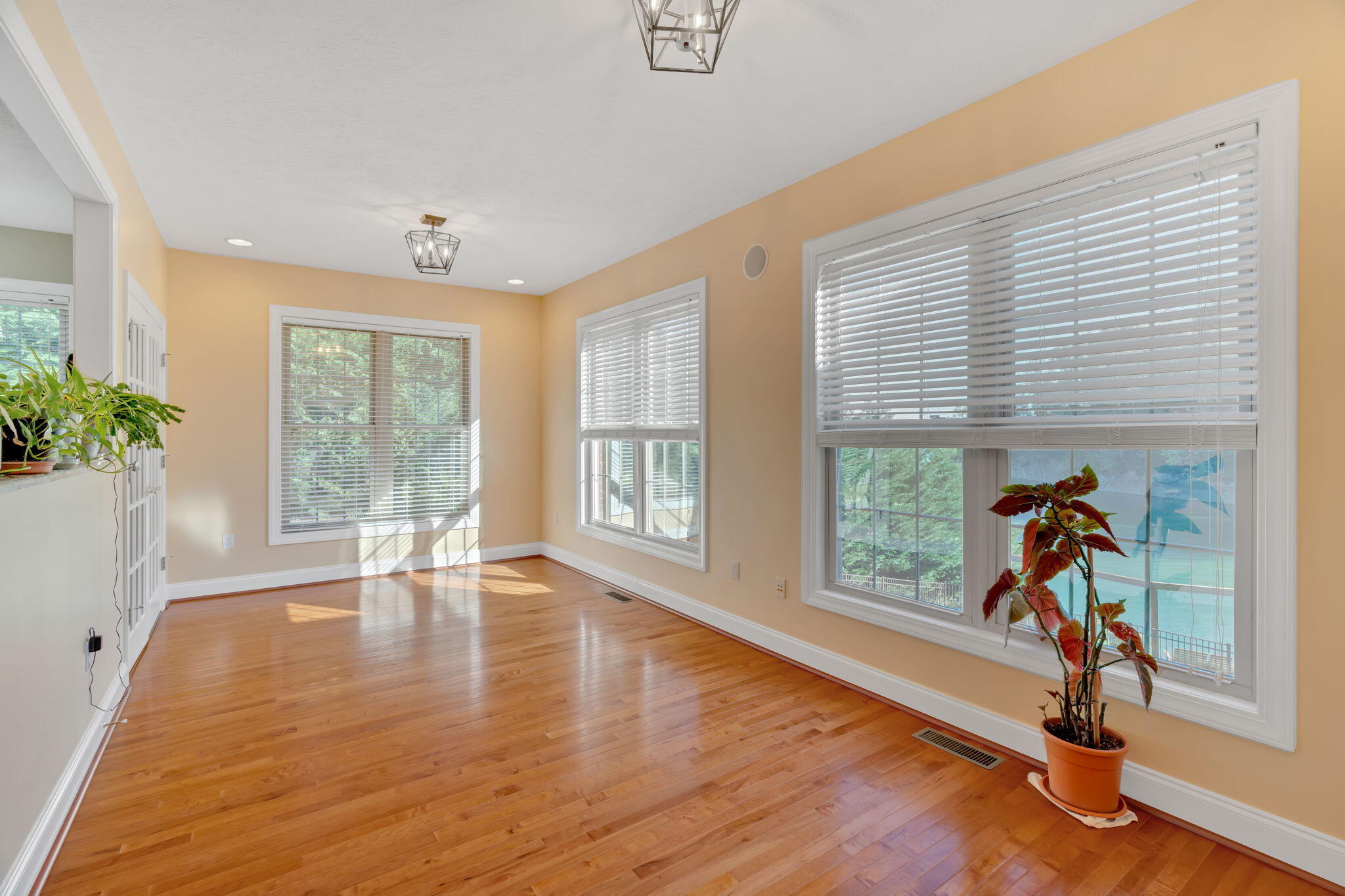 224 Red Fox Lane