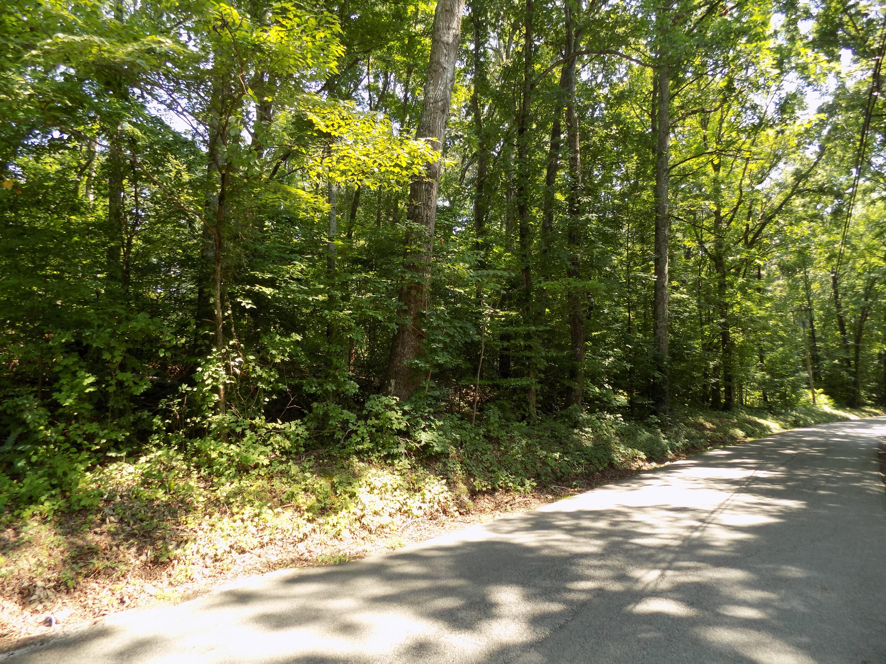 11777 Lakeshore Drive