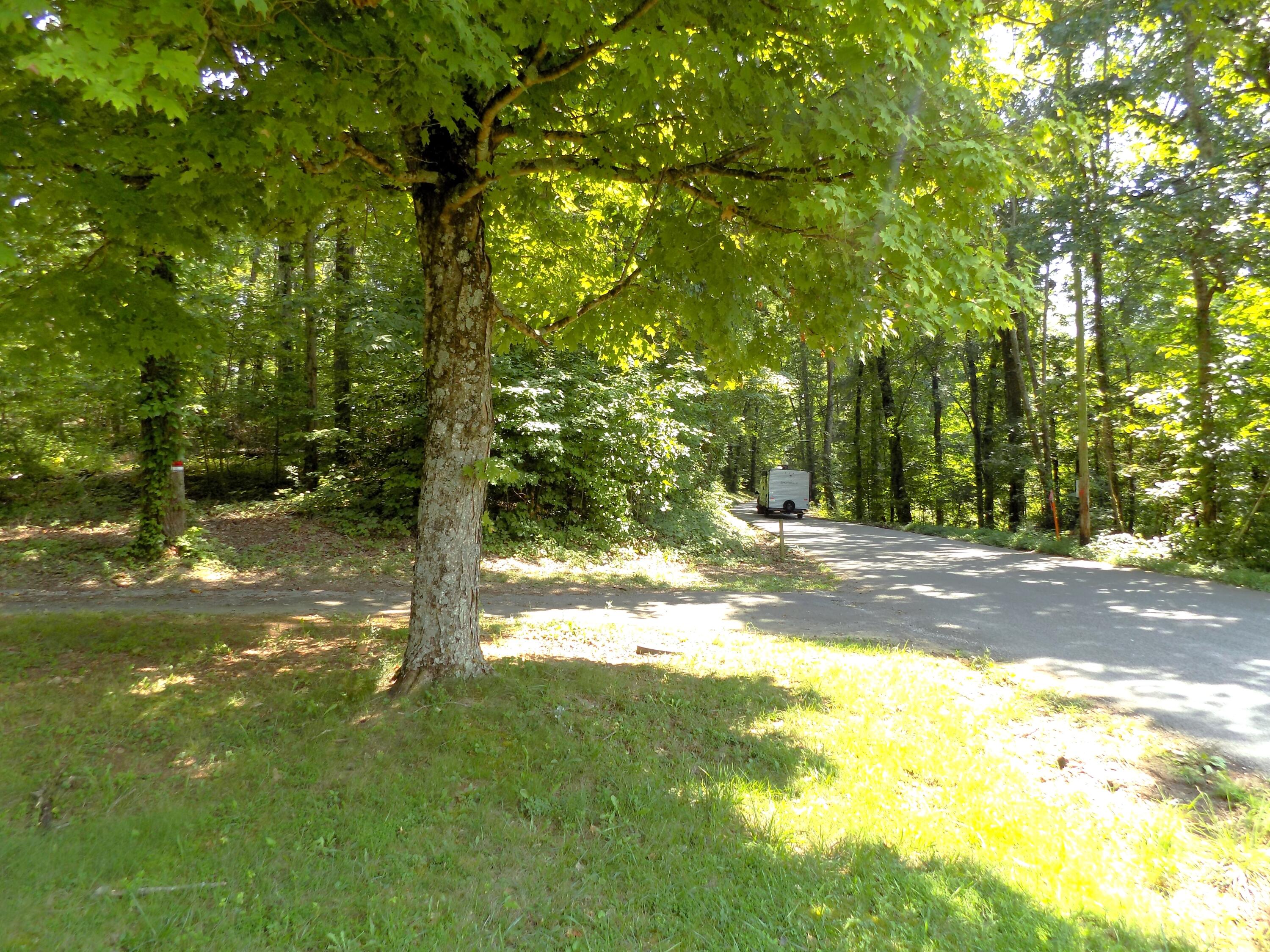 11777 Lakeshore Drive