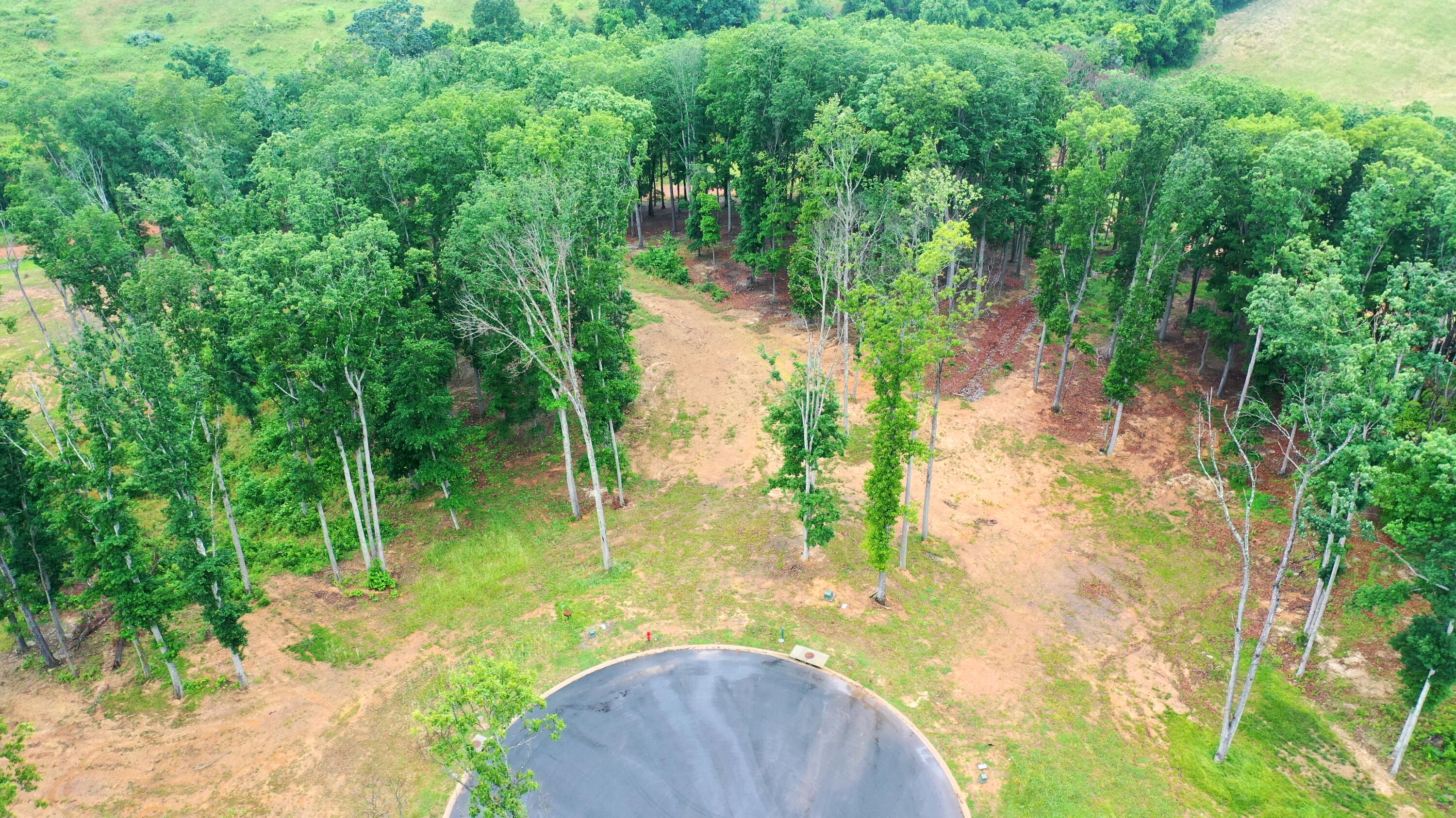 Lot 250 Ridgeline Court