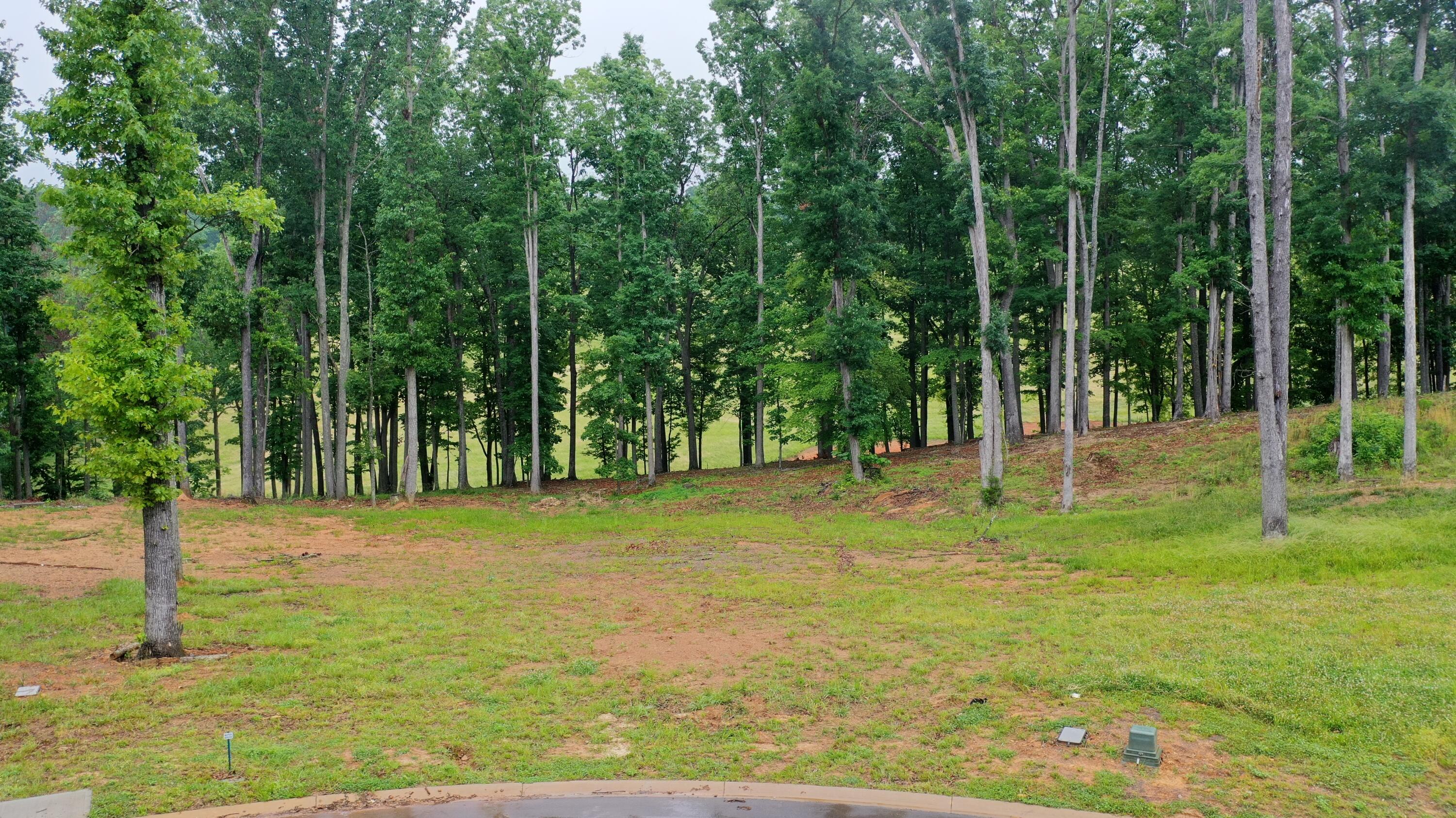 Lot 250 Ridgeline Court