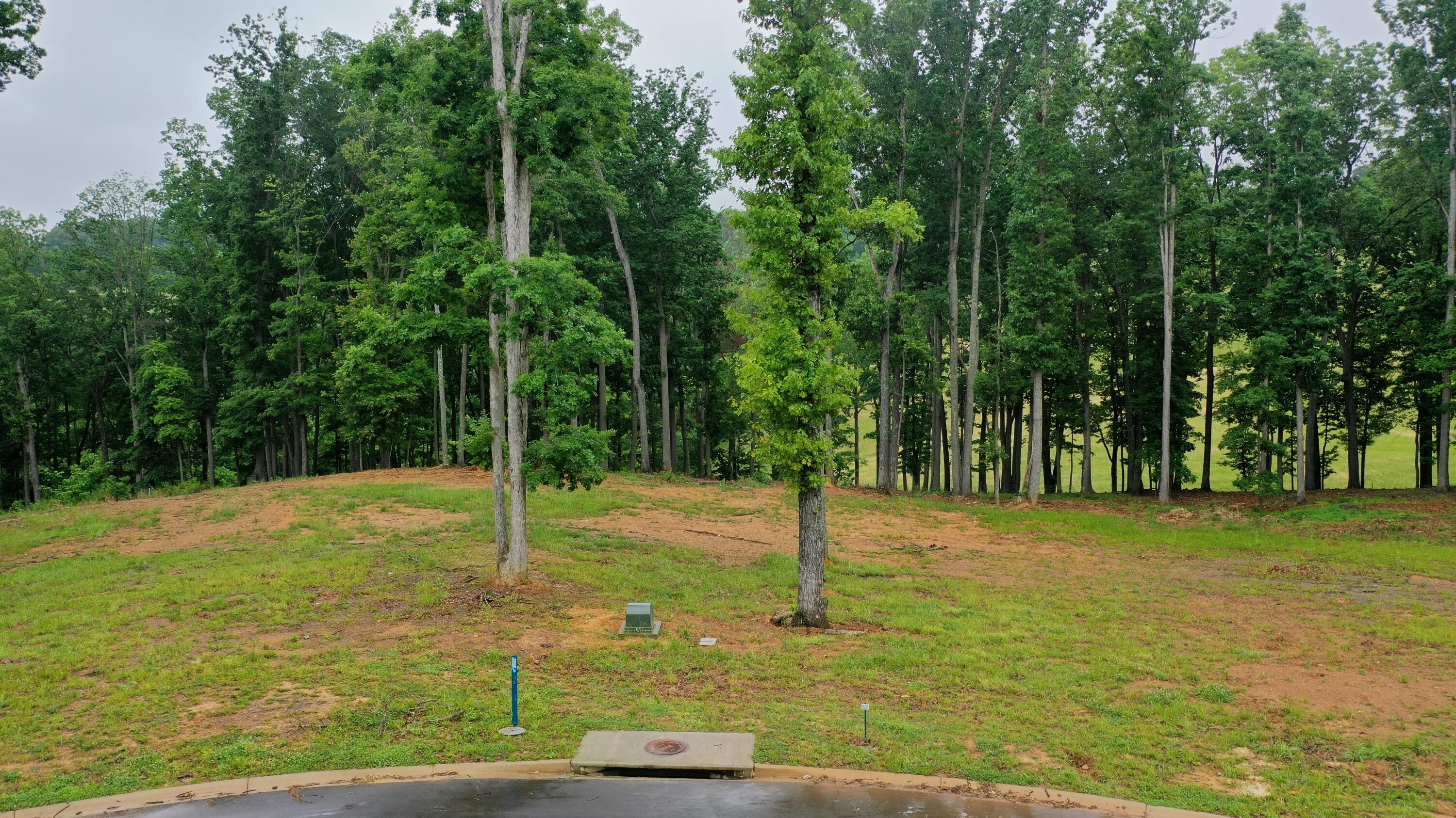 Lot 251 Ridgeline Court