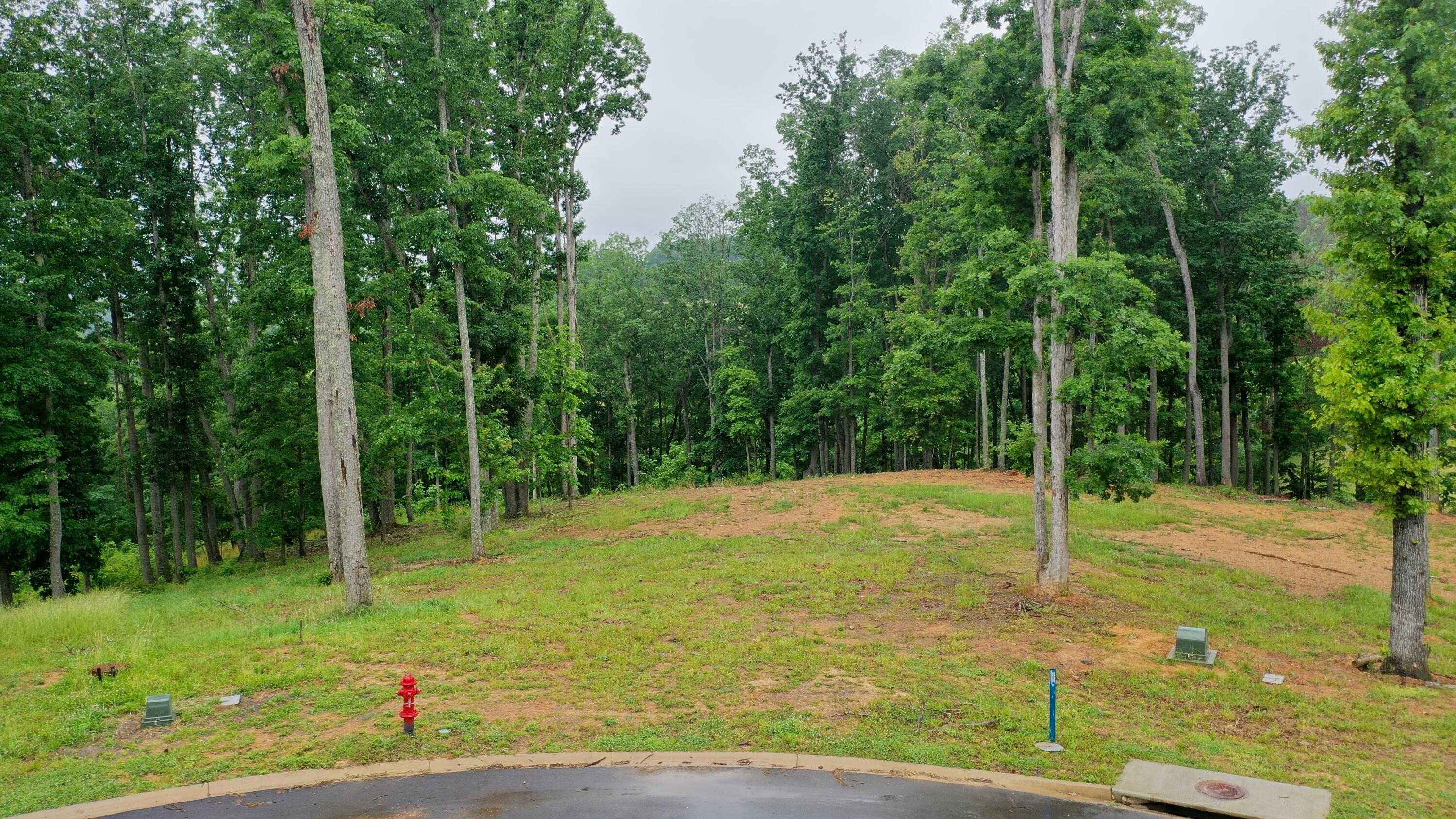 Lot 251 Ridgeline Court