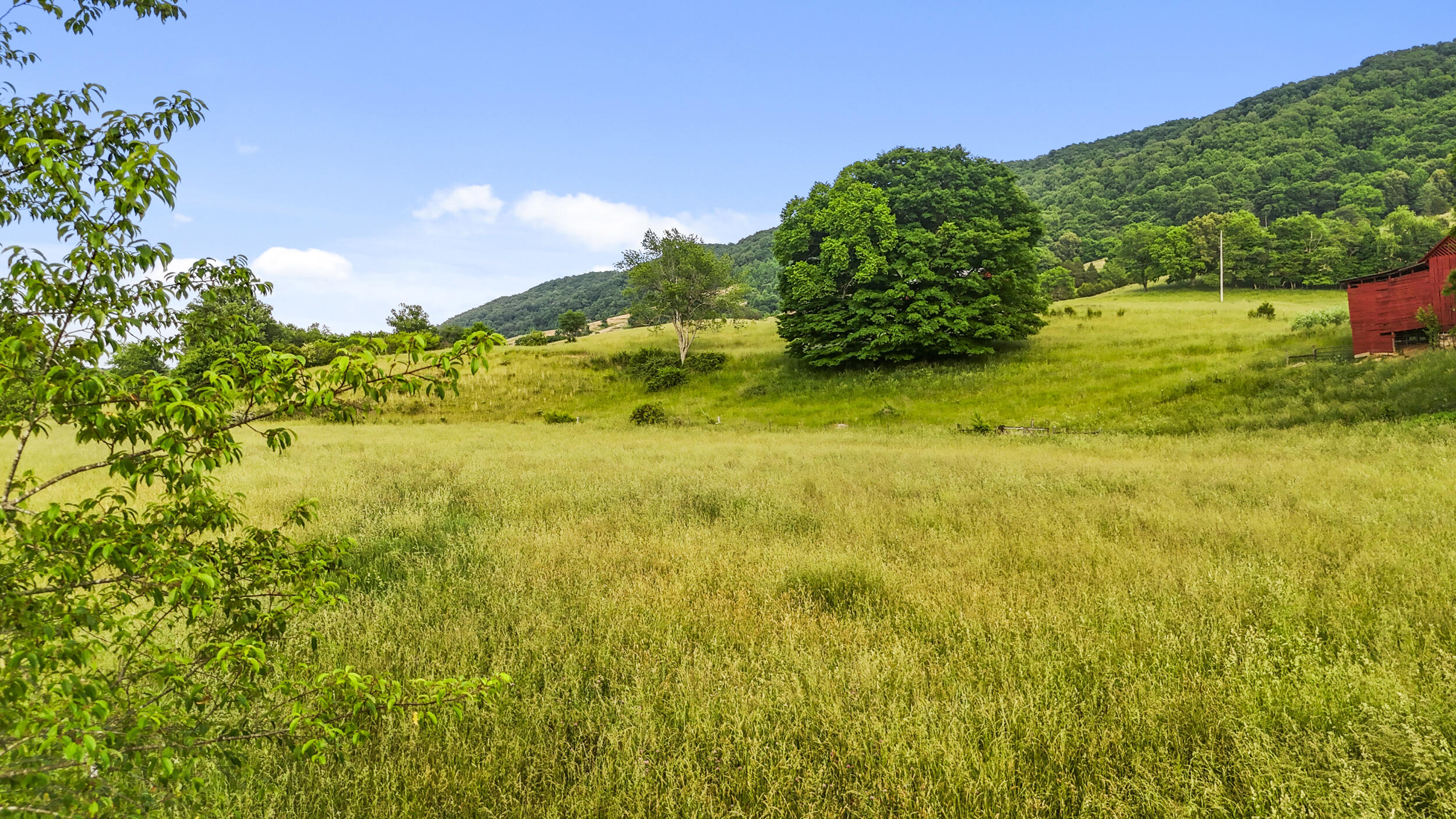 1305 Mulberry Gap Road