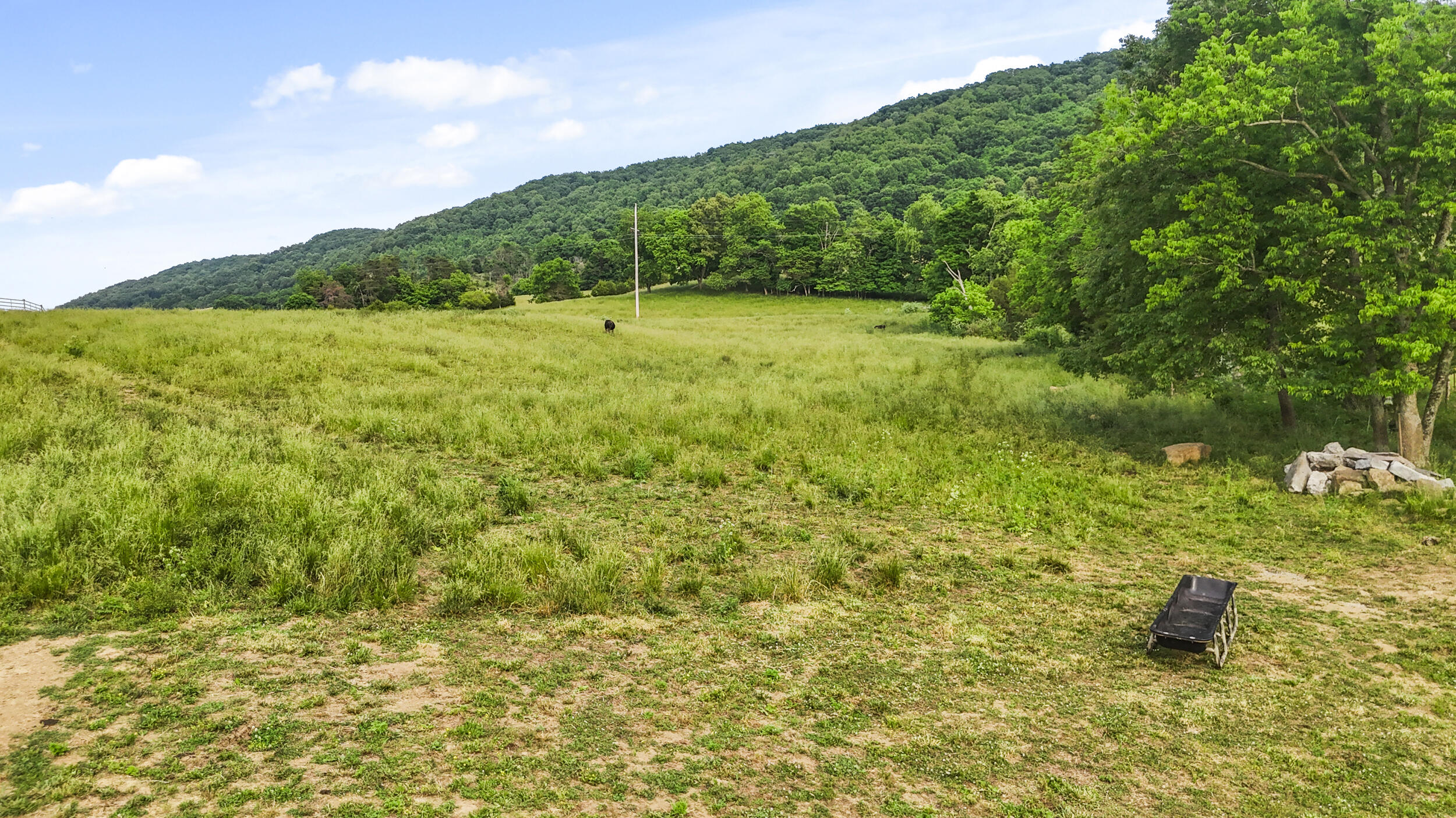 1305 Mulberry Gap Road