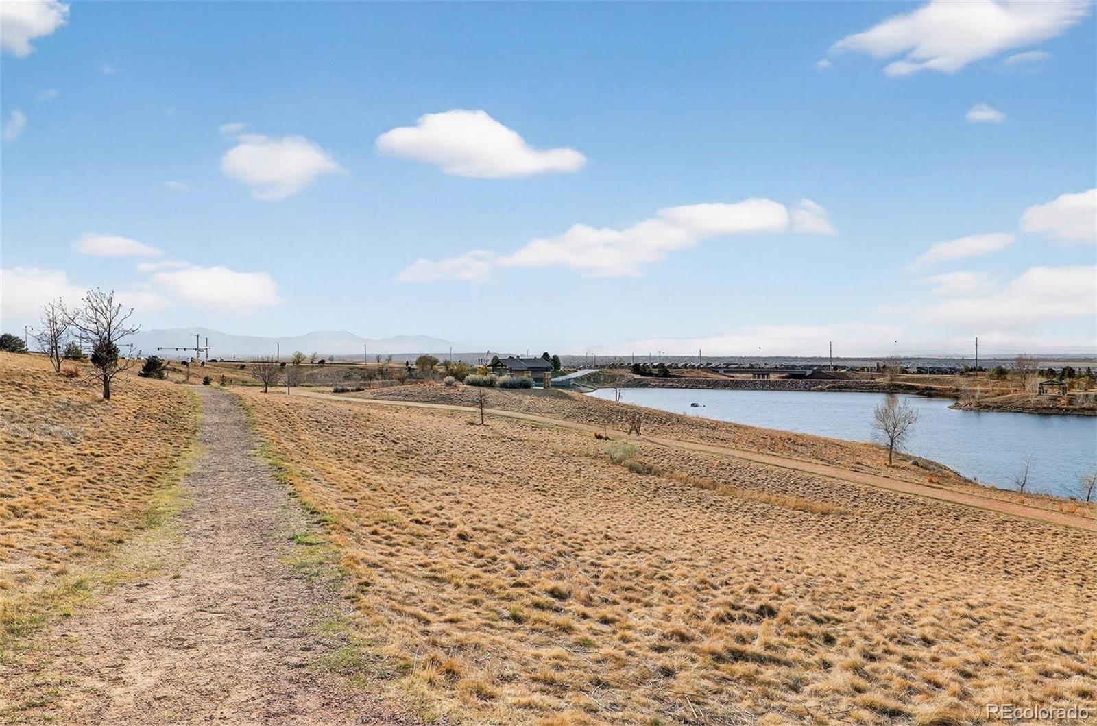 16036 Swan Mountain Drive