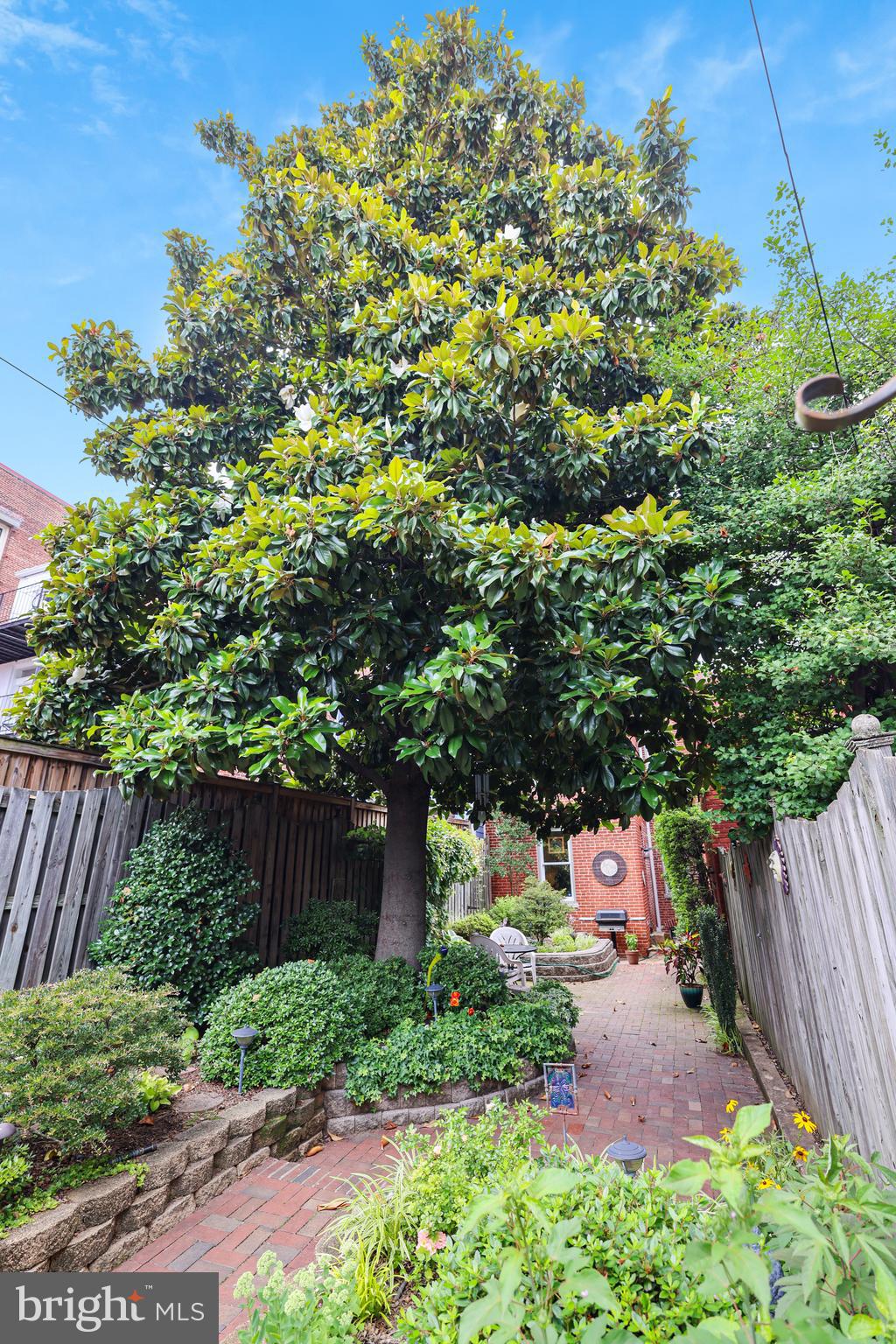 637 Constitution Ave NE