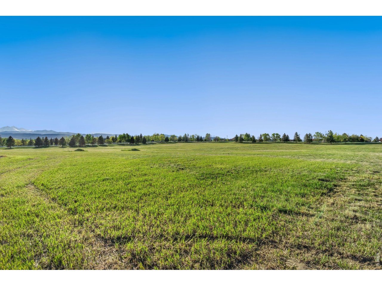 9715 Meadow Ridge Ln