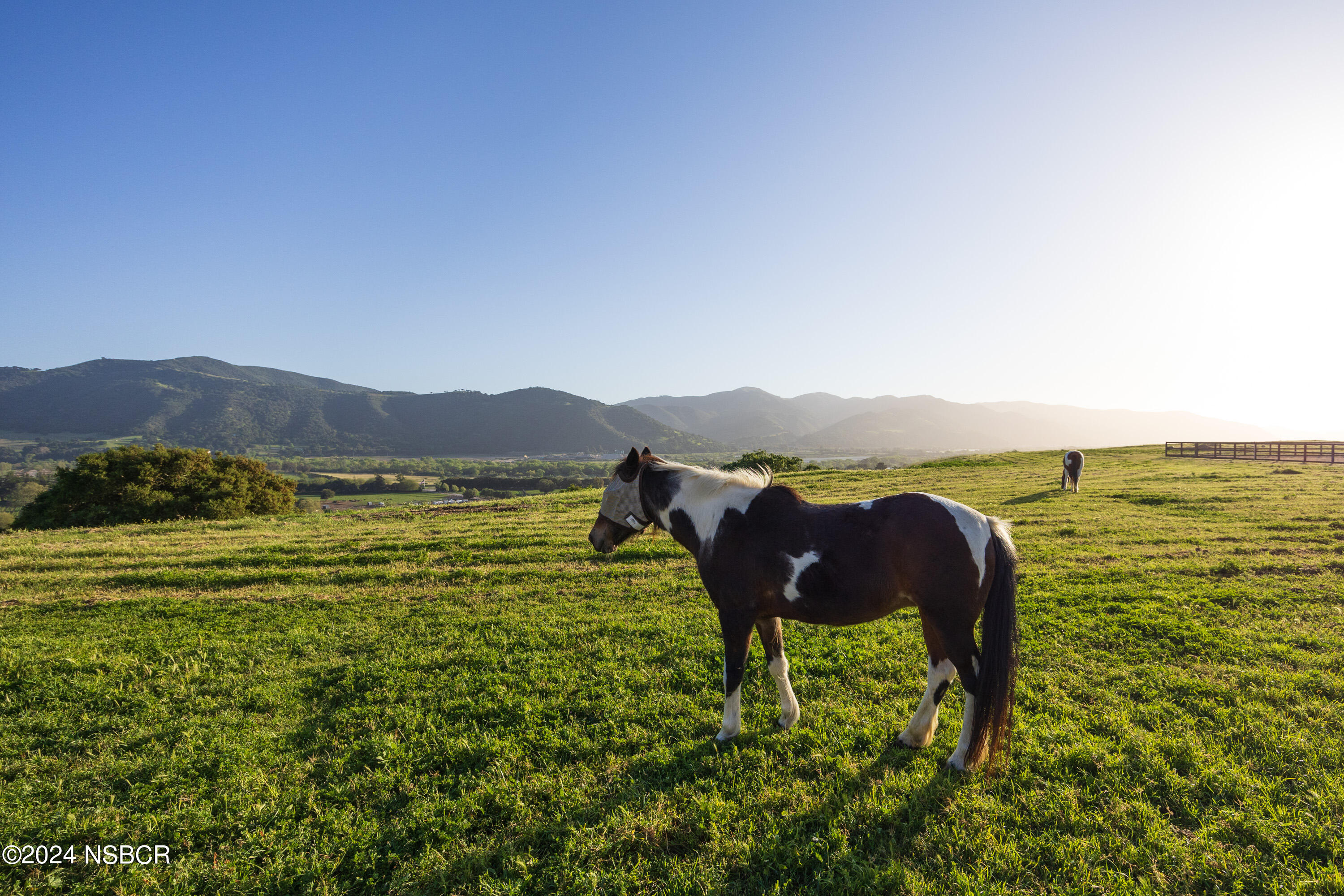 818 Ballard Canyon Road