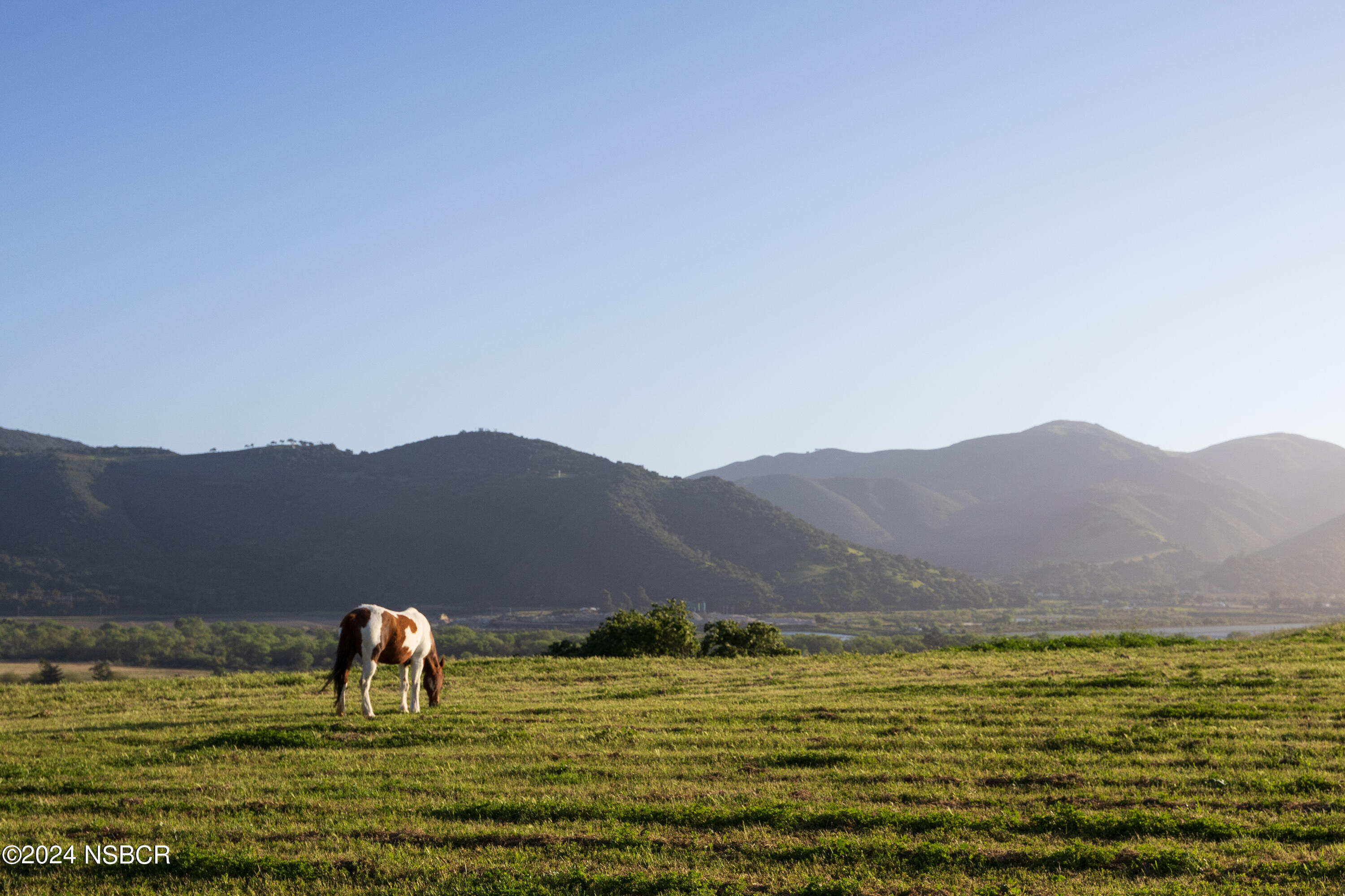 818 Ballard Canyon Road